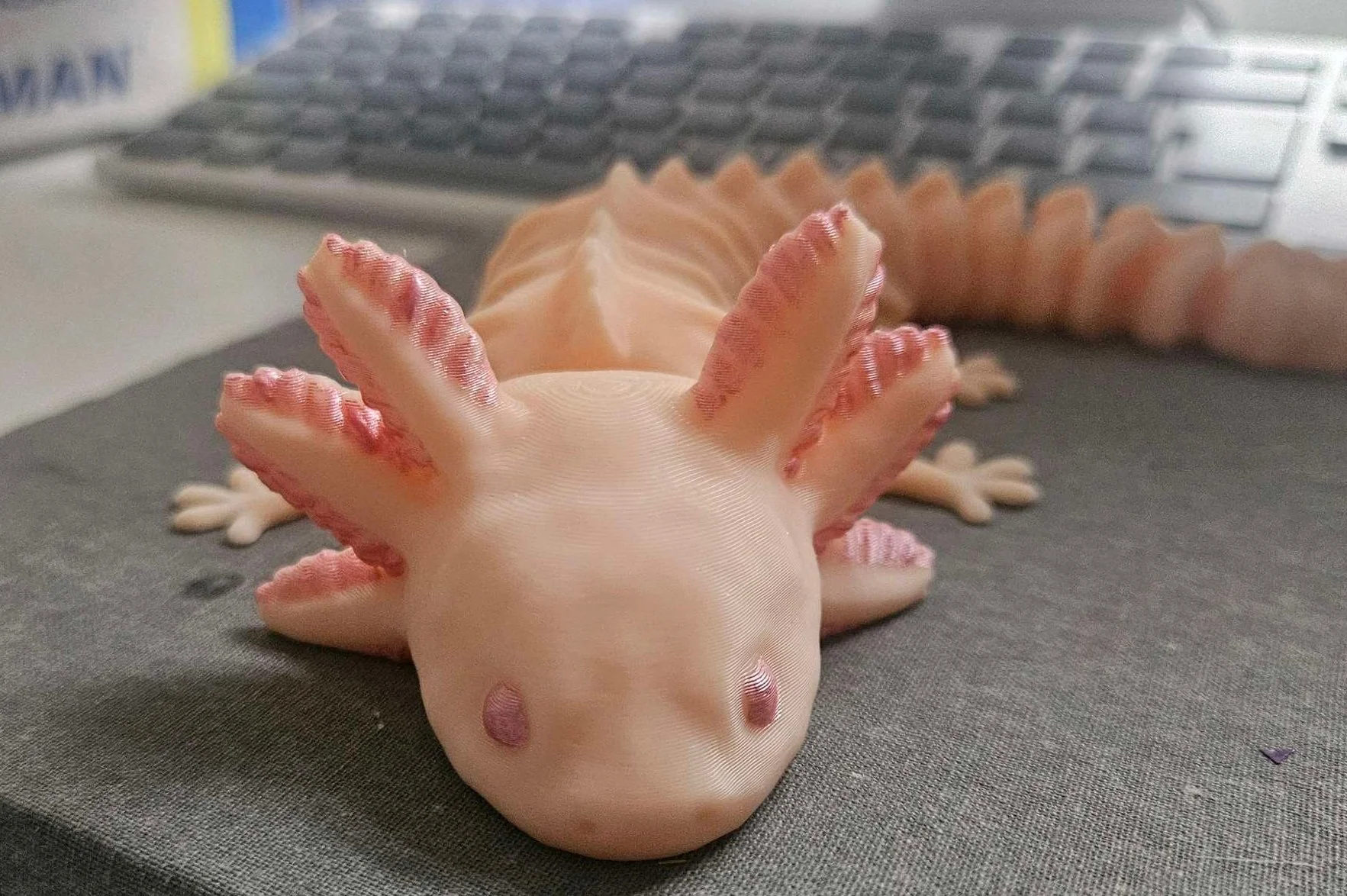 Flexi Axolotl