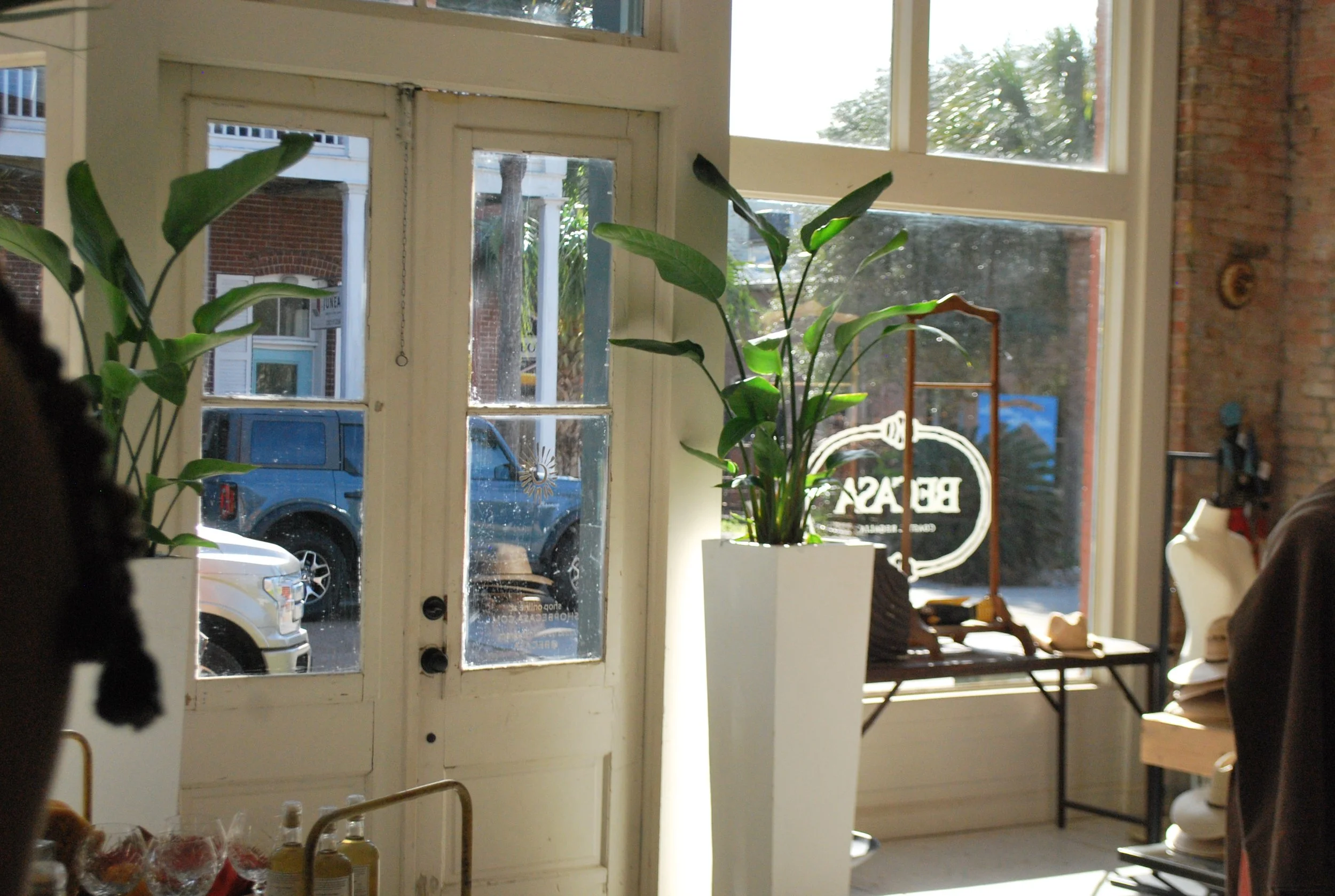 Interior of a shop with large windows, a tall green plant in a white pot, a bench with hats, and a mannequin, with parked cars visible outside.