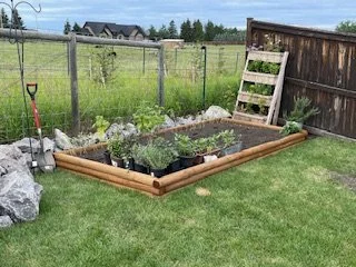 above ground garden box.jpeg