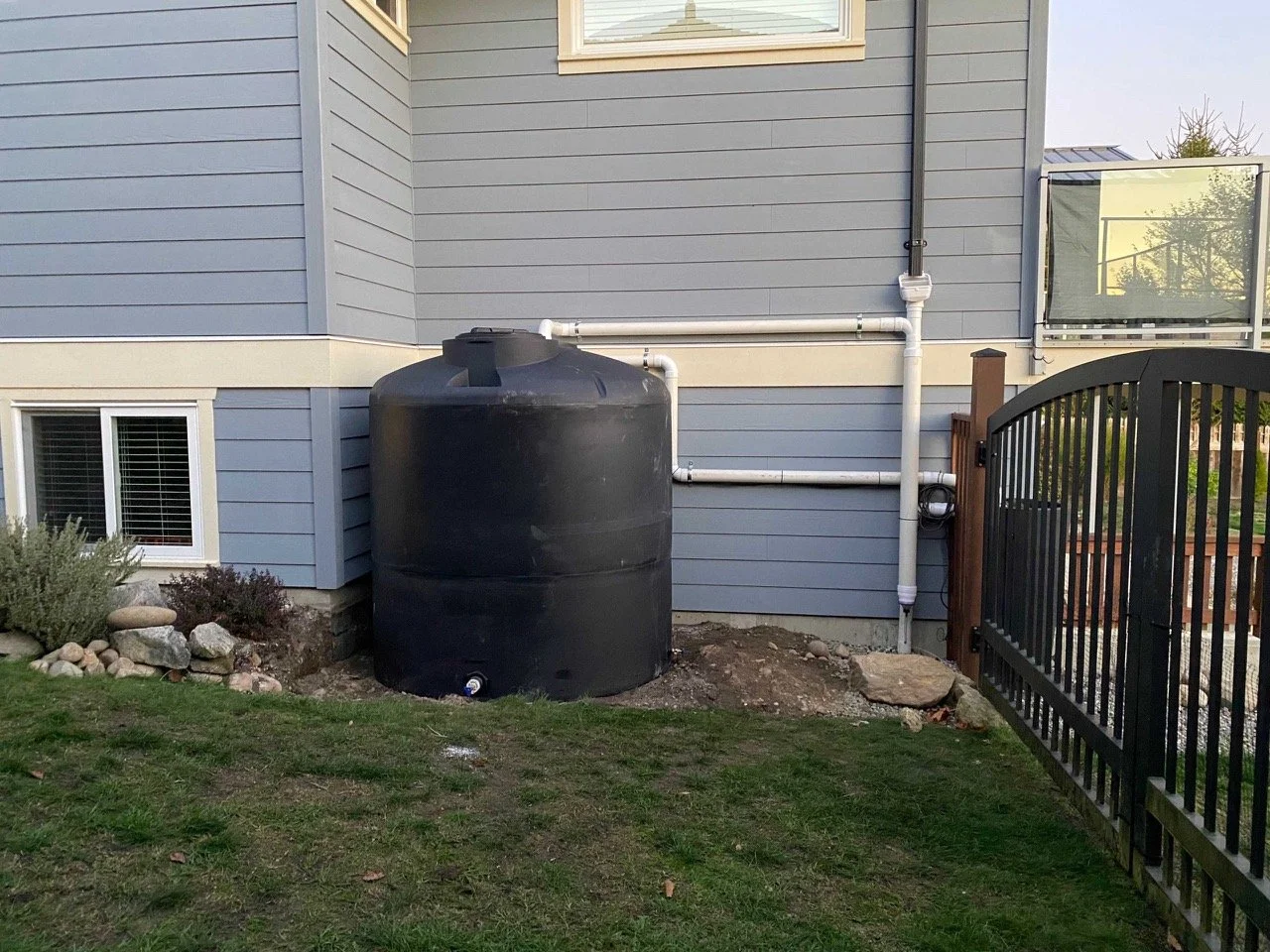 Black rainwater harvesting tank outside a blue house with white trim and PVC plumbing pipes.
