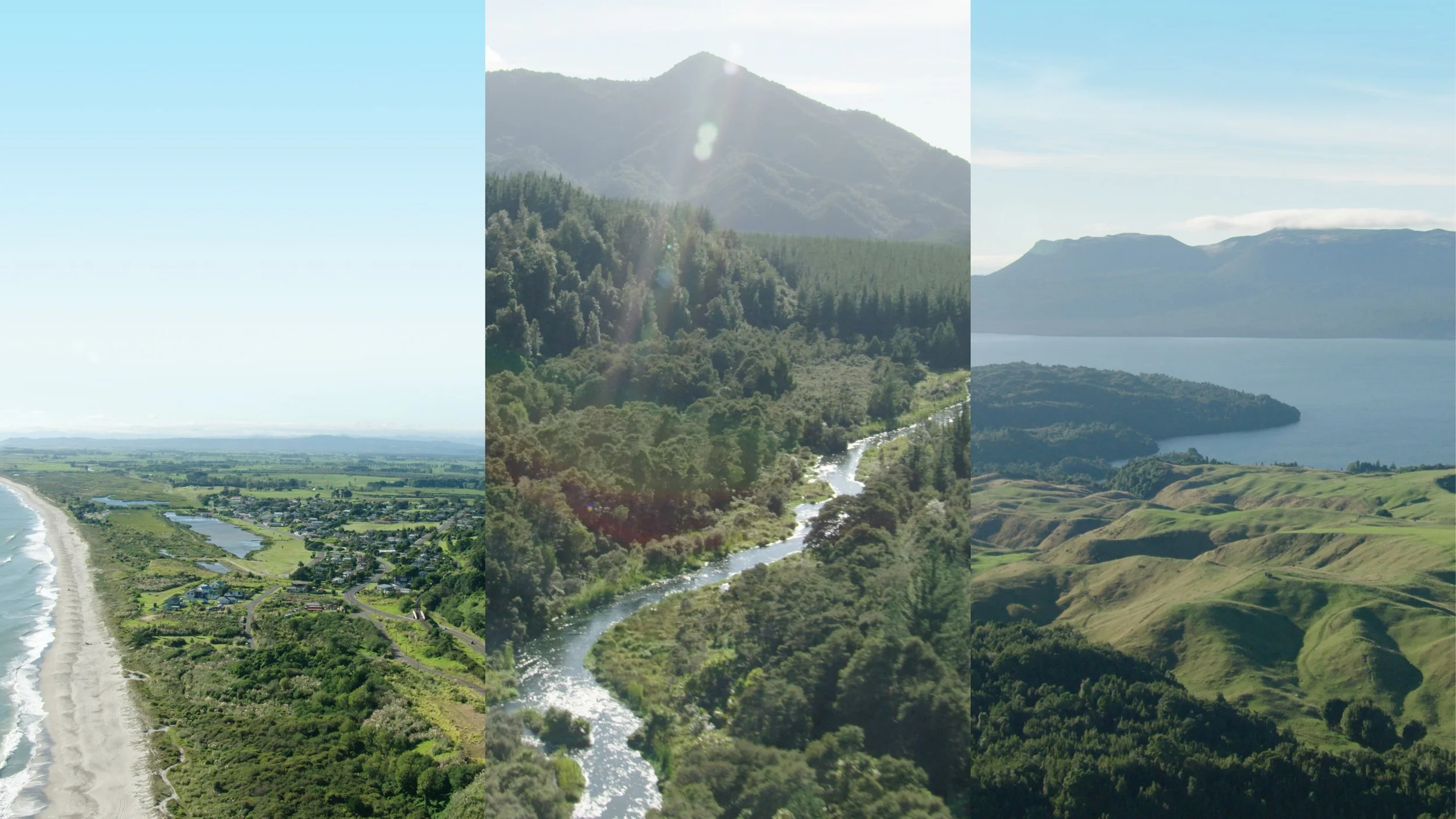 Te Mana Annual Report Website Showcase3.jpg