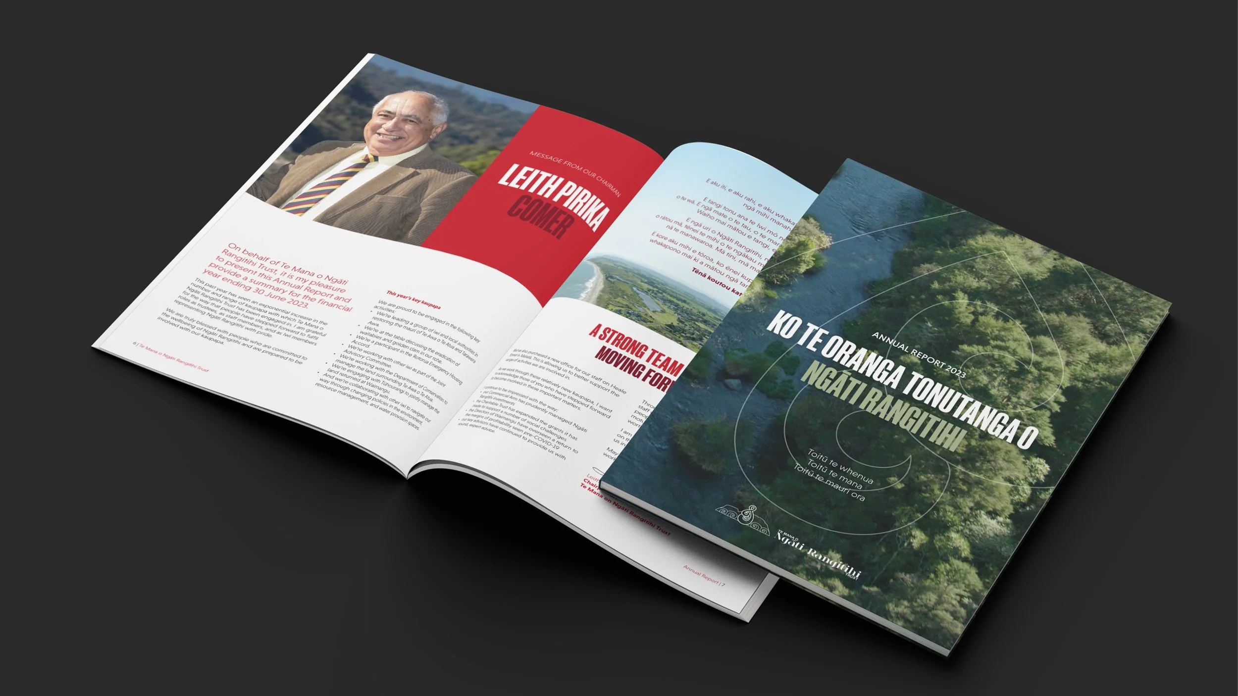 Te Mana Annual Report Website Showcase6.jpg