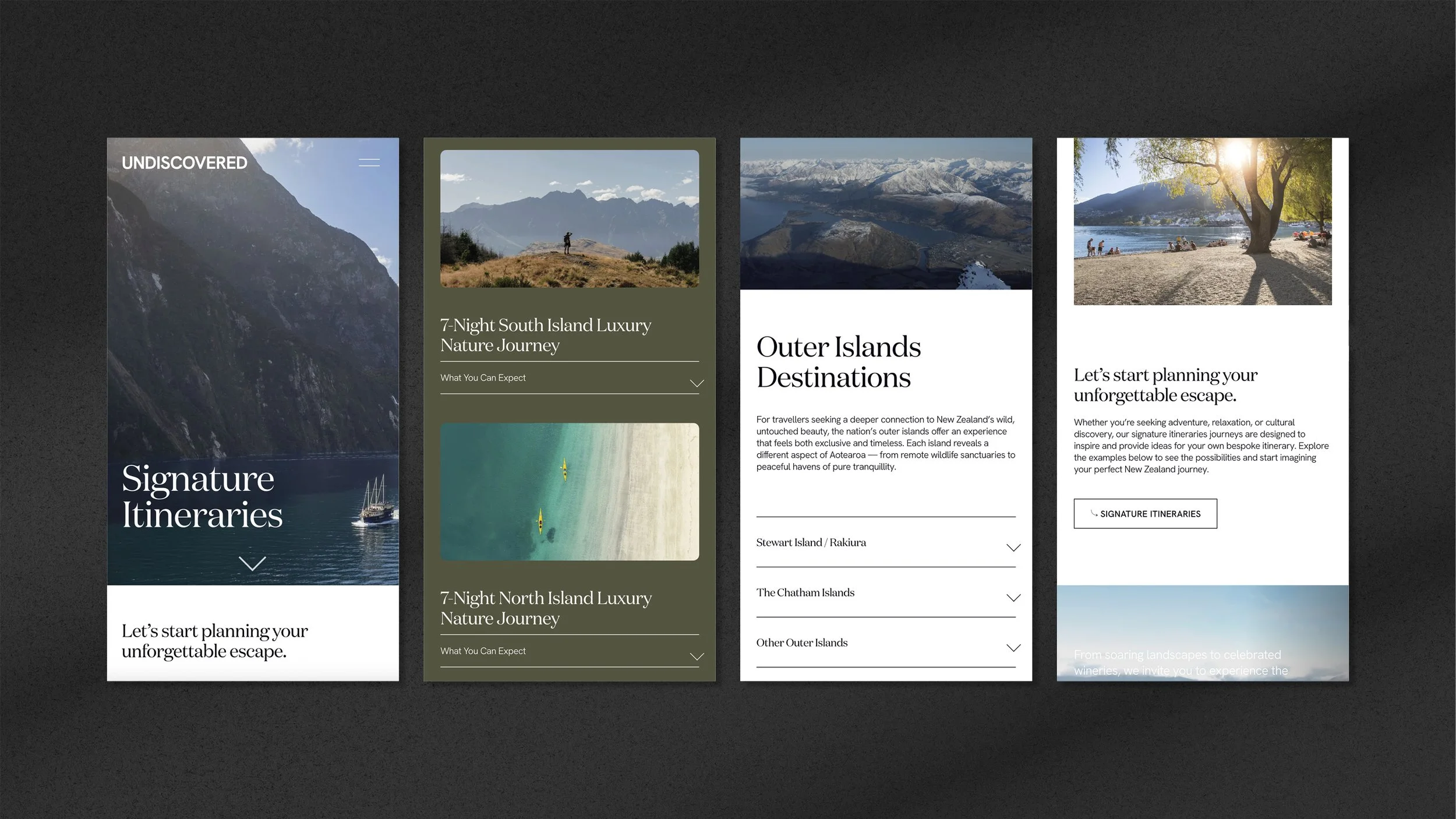 Website Design Tauranga.jpg