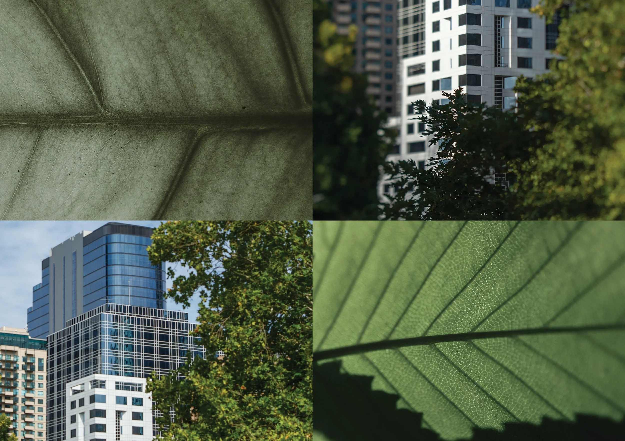 INV_ IM Brand Images.jpg