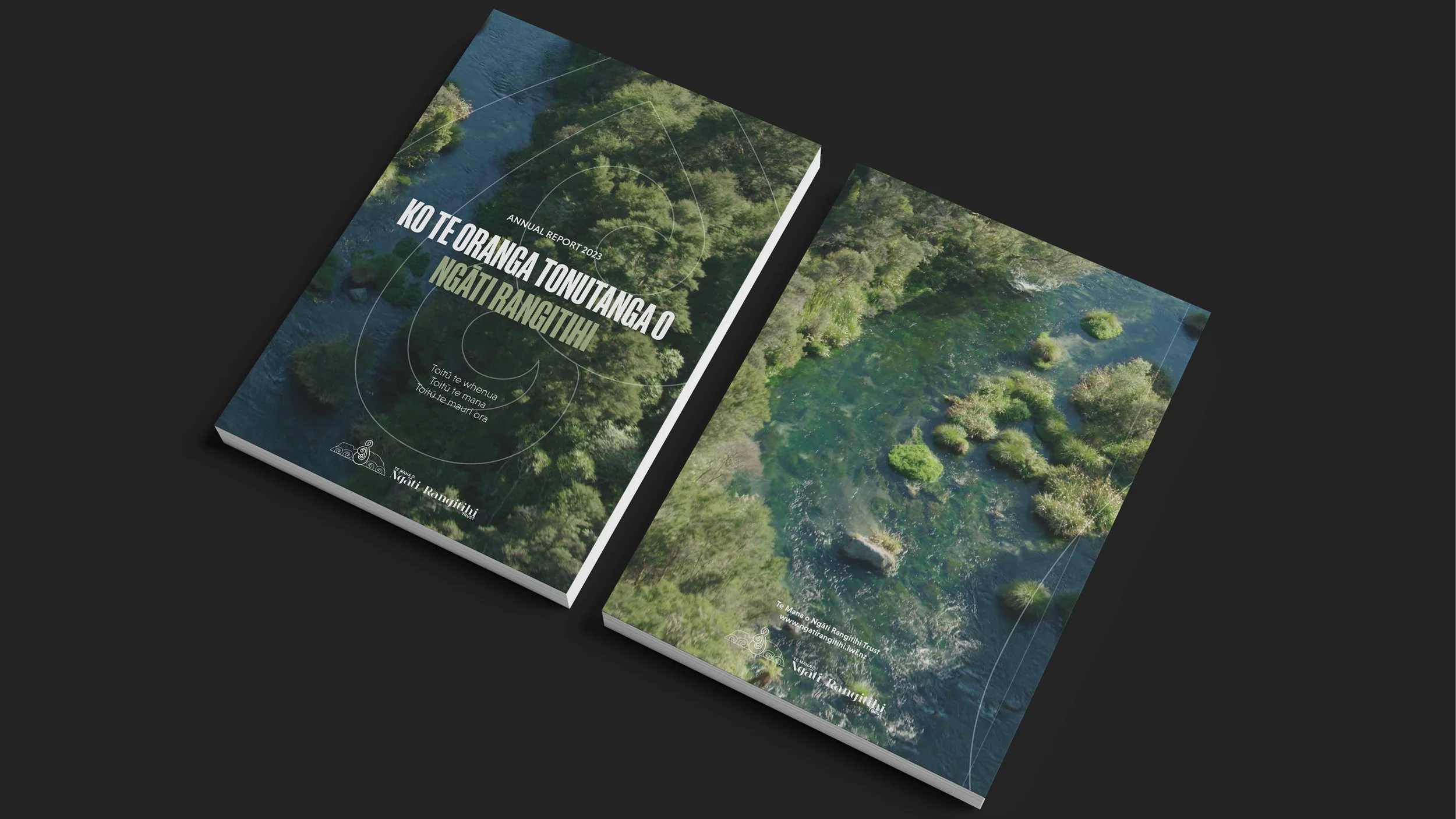 Te Mana Annual Report Website Showcase9.jpg