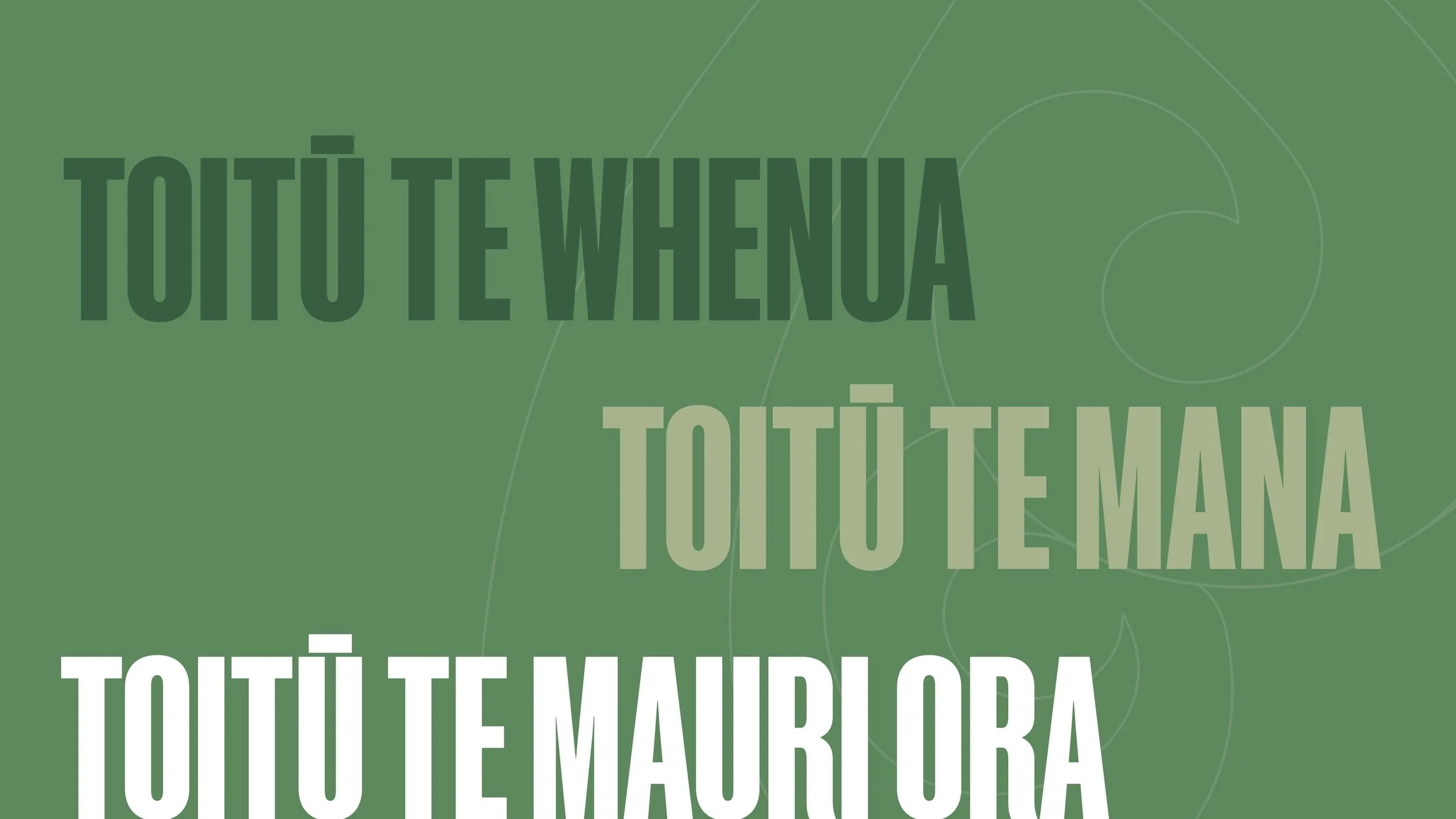 Te Mana Annual Report Website Showcase_Final2.jpg