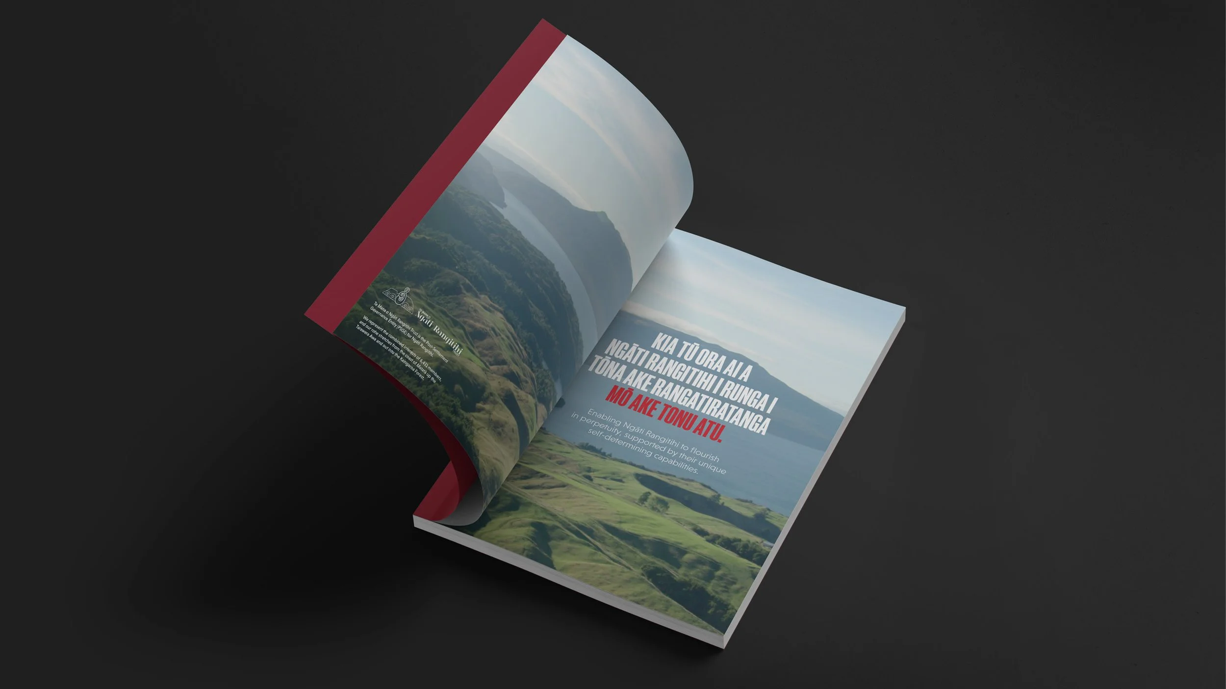 Te Mana Annual Report Website Showcase5.jpg