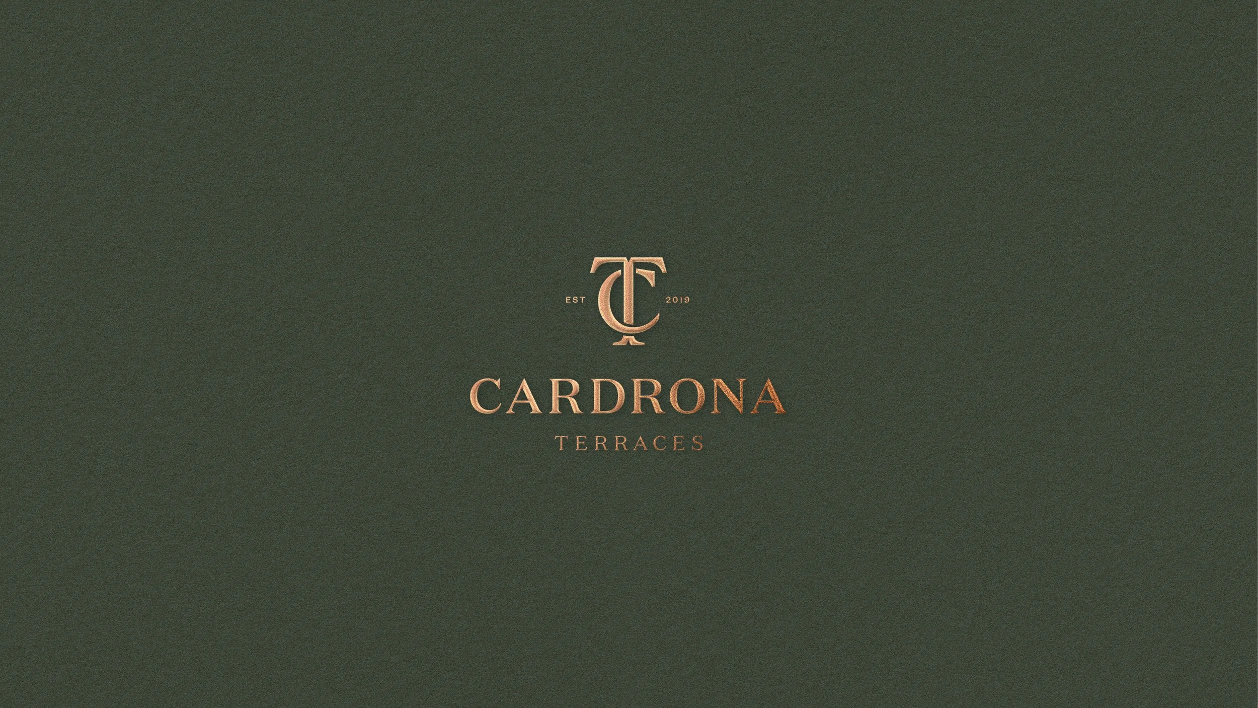 Cardrona Terraces Website Showcase3.jpg