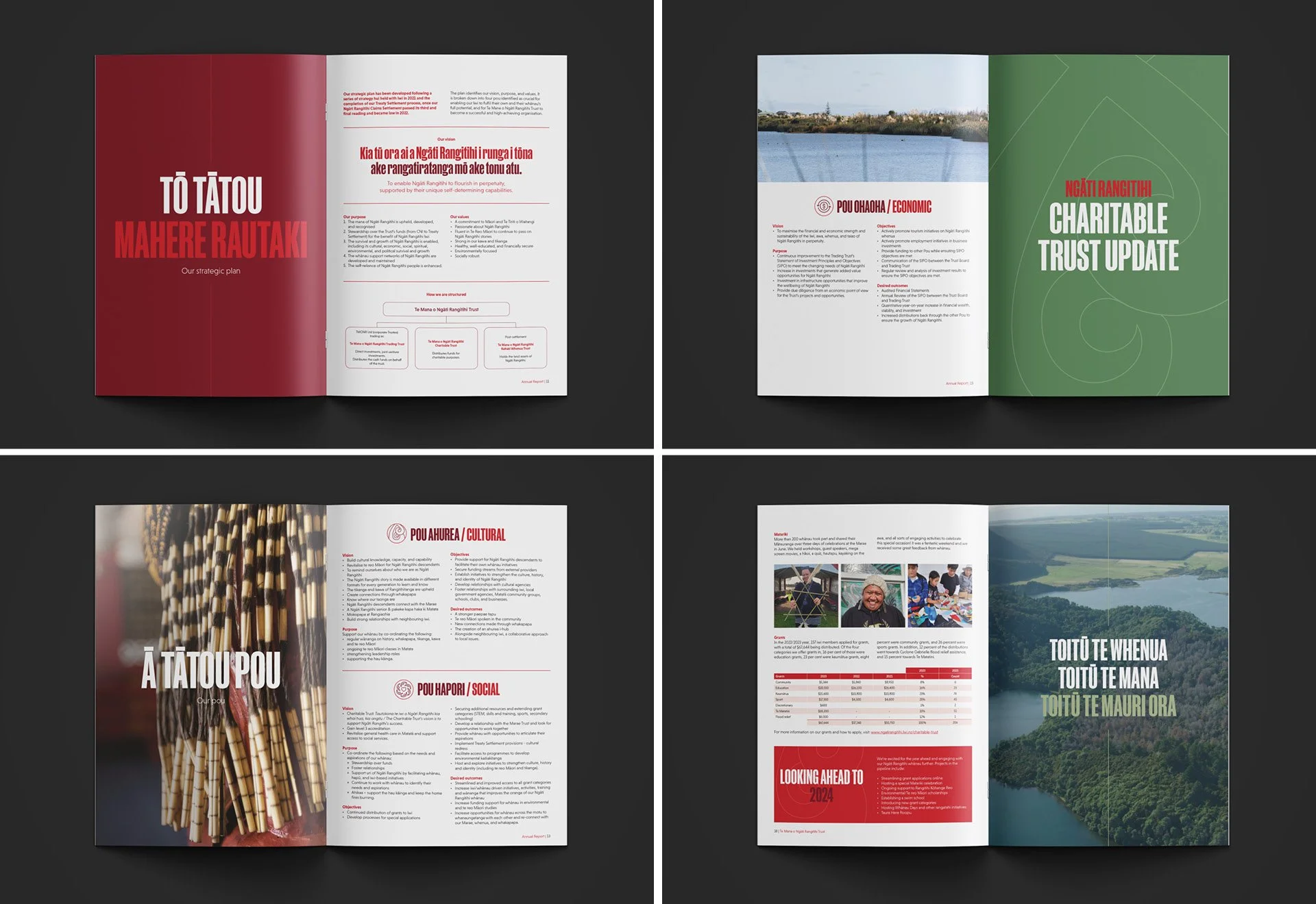 Te Mana Annual Report Website Showcase8 Final.jpg