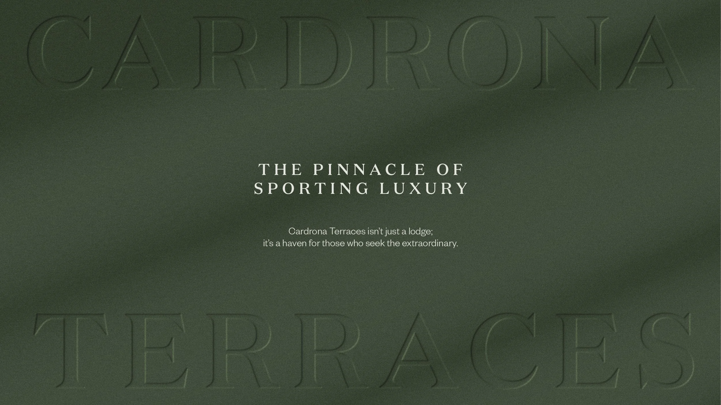 Cardrona Terraces Website Showcase2.jpg