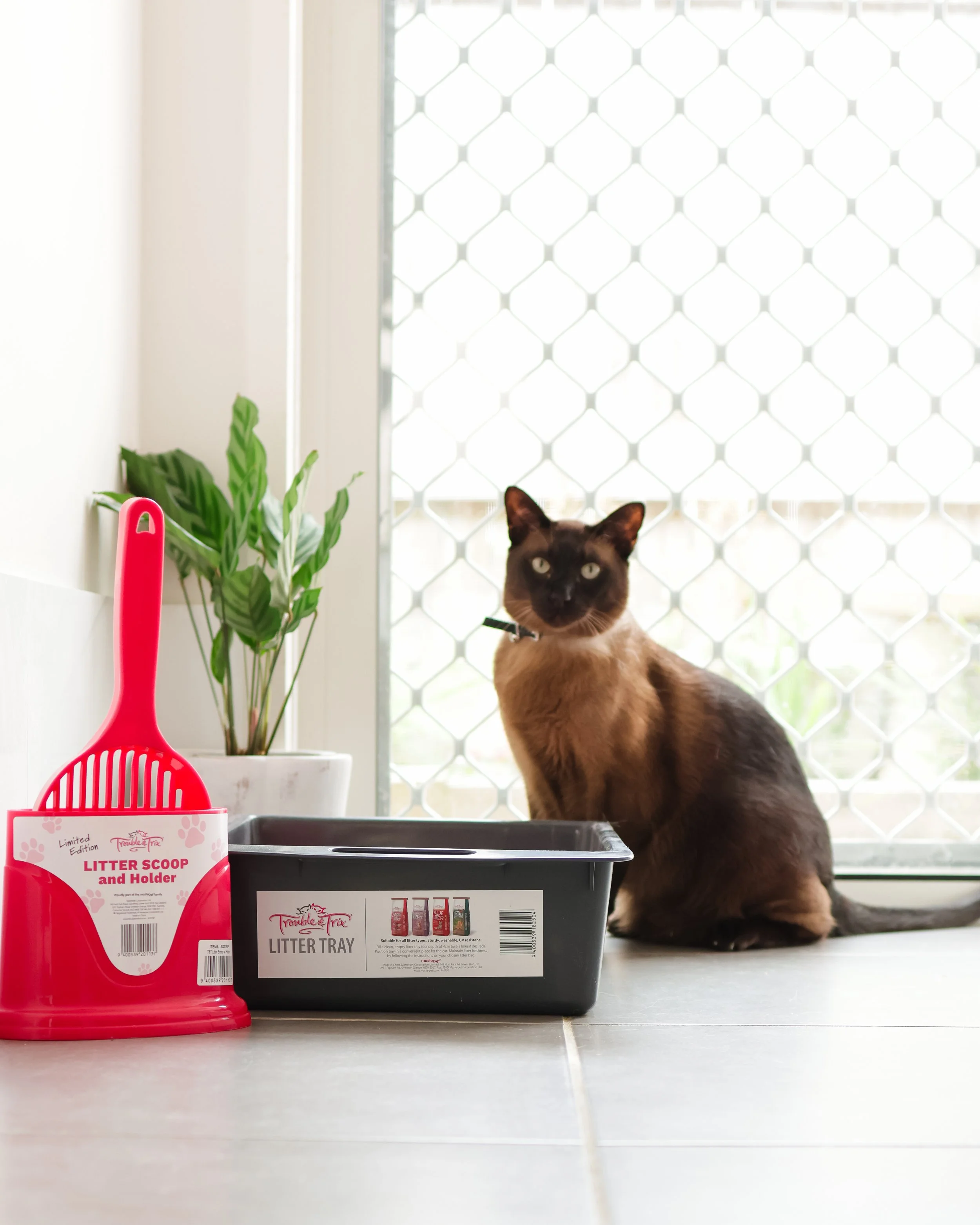 Black cat sitting behind a plastic litter tray with a label reading 'Trouble Trix Litter Tray,' a plant in a pot, a red litter scoop, and a window with a security grille in the background.