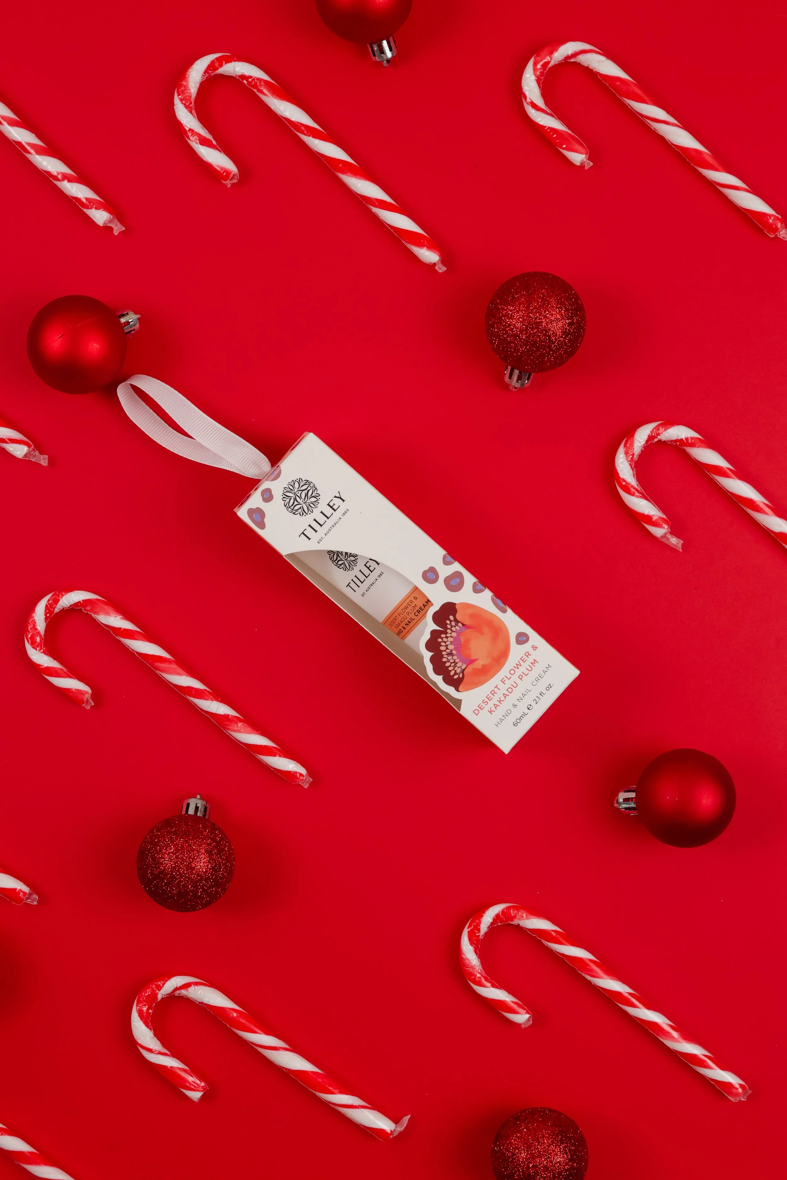 Christmas Studio Shoot | 10 Photos