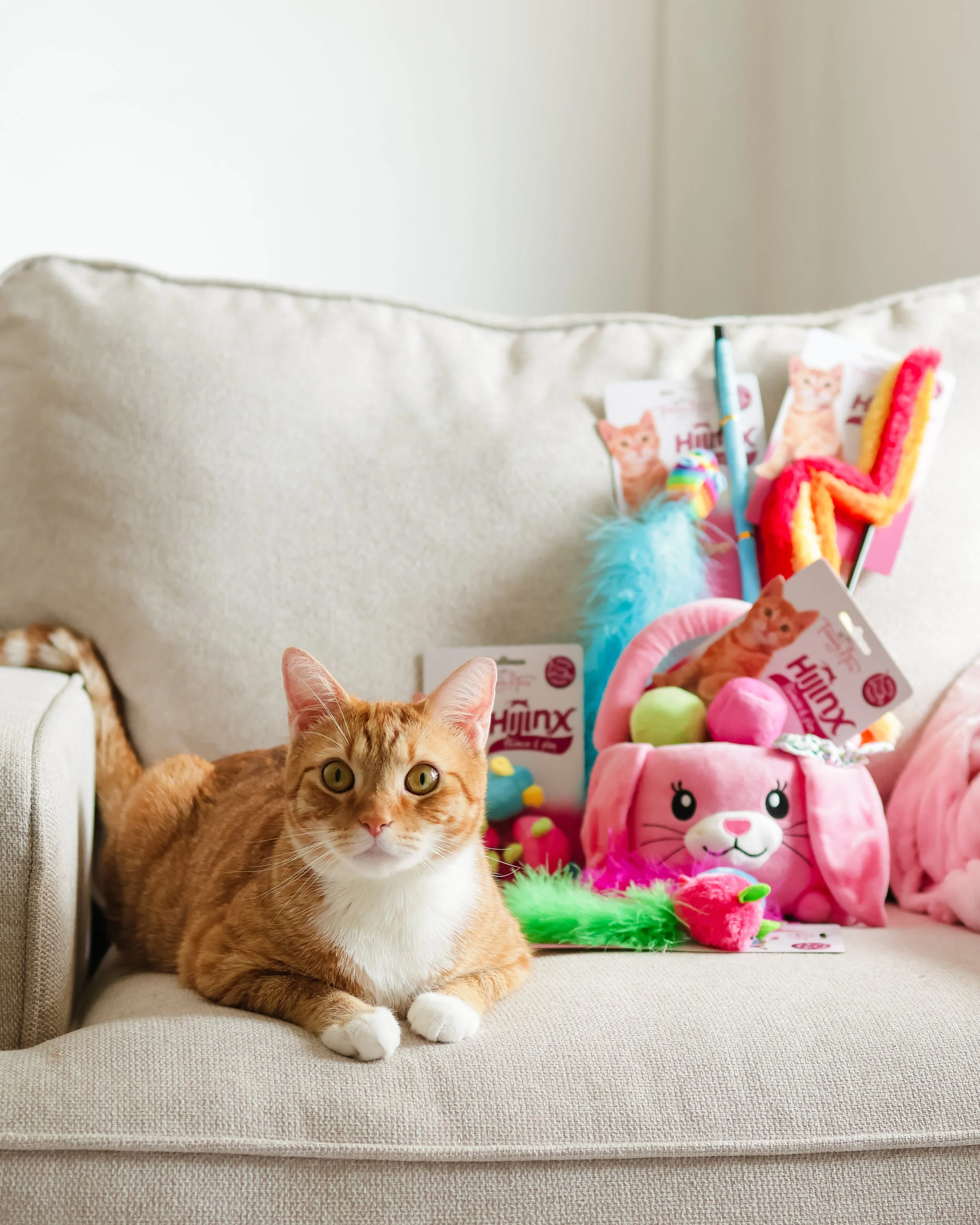 A ginger and white cat lying on a beige sofa in front of colorful plush toys, including a pink bunny backpack and a pink and orange unicorn, with tags and packaging visible.