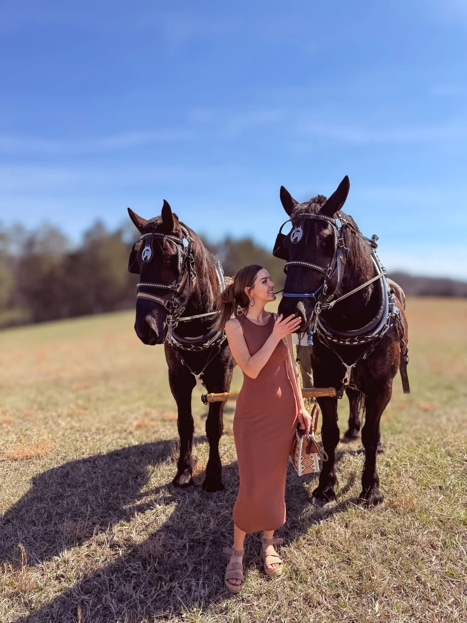 A woman in a brown dress standing on a grassy field, touching the face of a large black horse, with another black horse standing beside her. Both horses are wearing harnesses. The sky is blue with a few clouds, and there are trees in the background.