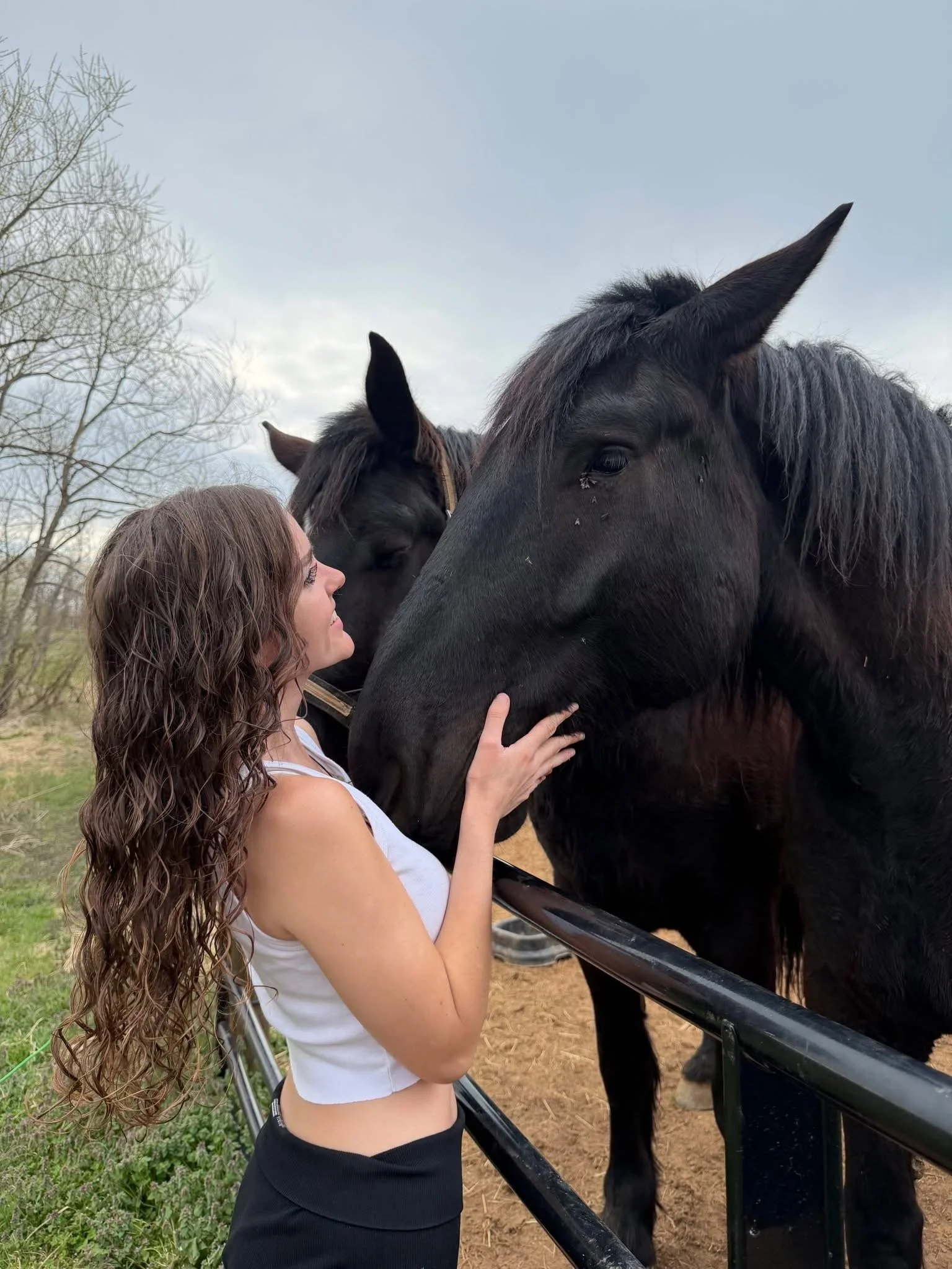 A woman with long, curly brown hair wearing a white top and black pants is touching a large black horse, which is leaning over a black fence. Another black horse is partly visible behind the first horse. The background features a cloudy sky and leafless trees.