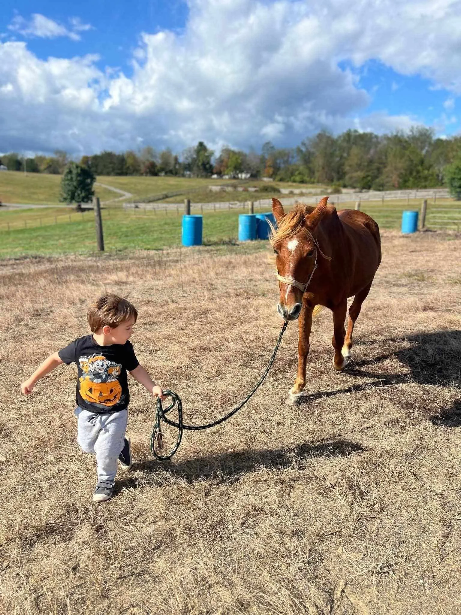 A young boy holding a horse's lead rope while walking in a dry grassy field with blue barrels and a fenced pasture under a partly cloudy sky.