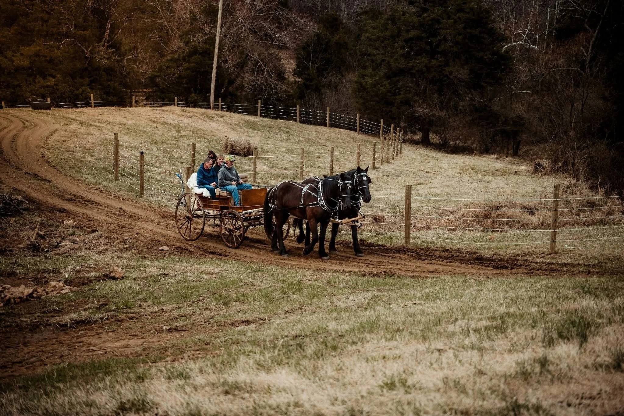 Four people riding in a horse-drawn carriage on a dirt path in a countryside setting with a fenced grassy field and trees in the background.