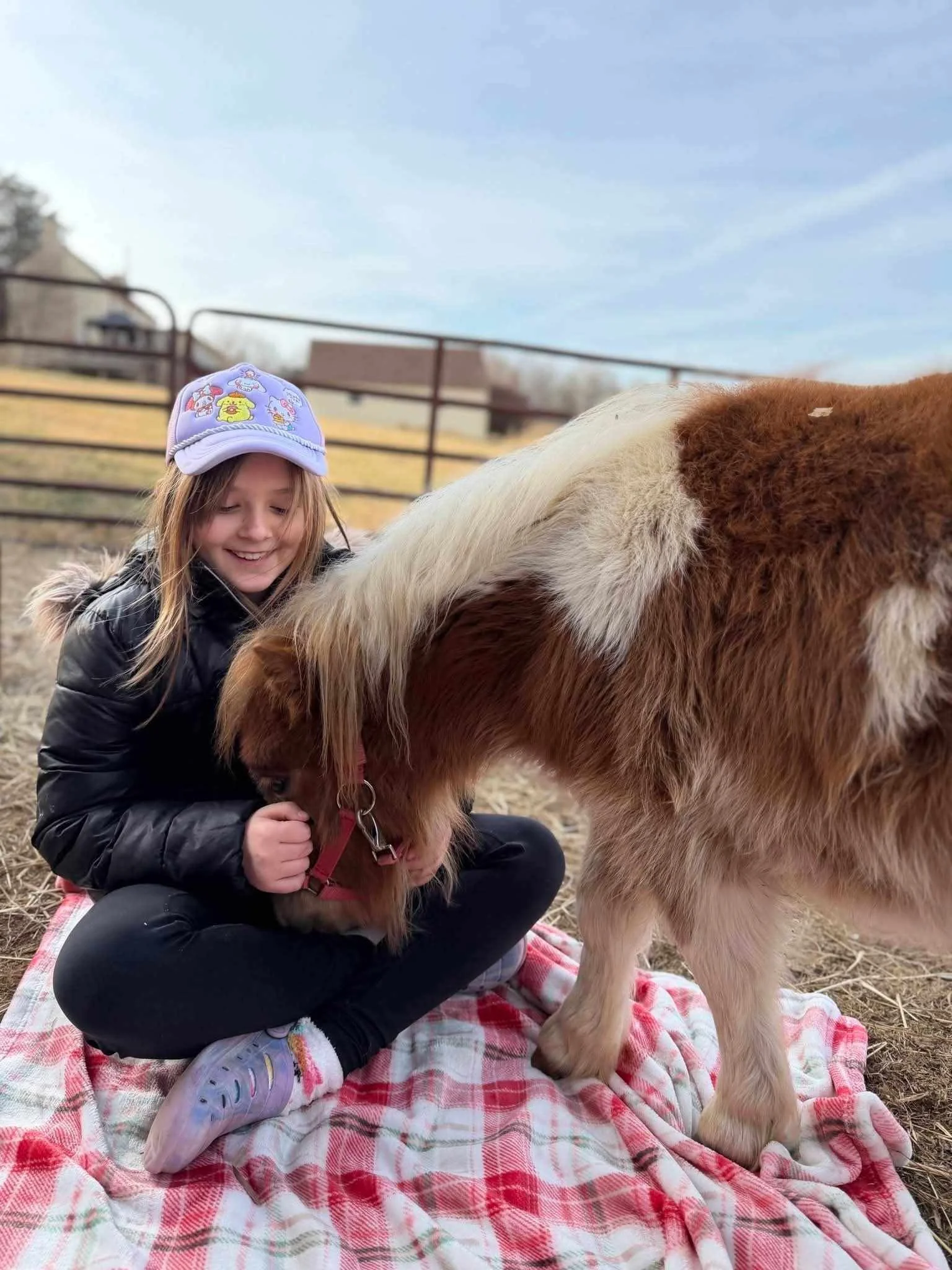 A young girl sitting cross-legged on a checkered blanket, petting a brown and white pony, outdoors on a farm or pasture with a metal fence and buildings in the background.