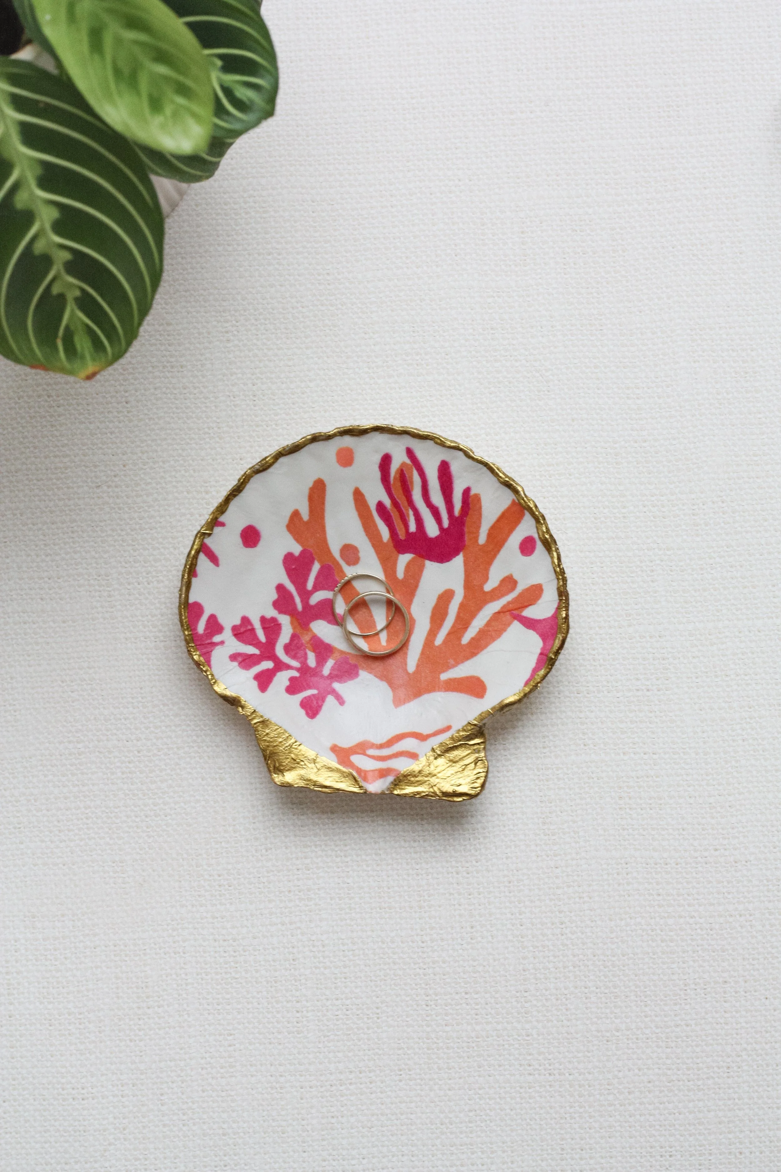 Saint-Tropez Scallop Shell Ring Dish