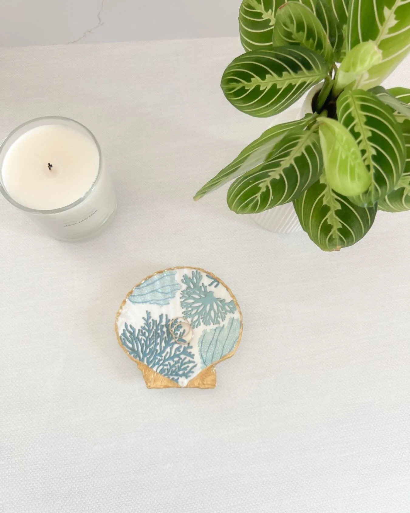 A small piece that brings a quiet, coastal presence. ✨

#coastaldecor #ateliercoquille #shell