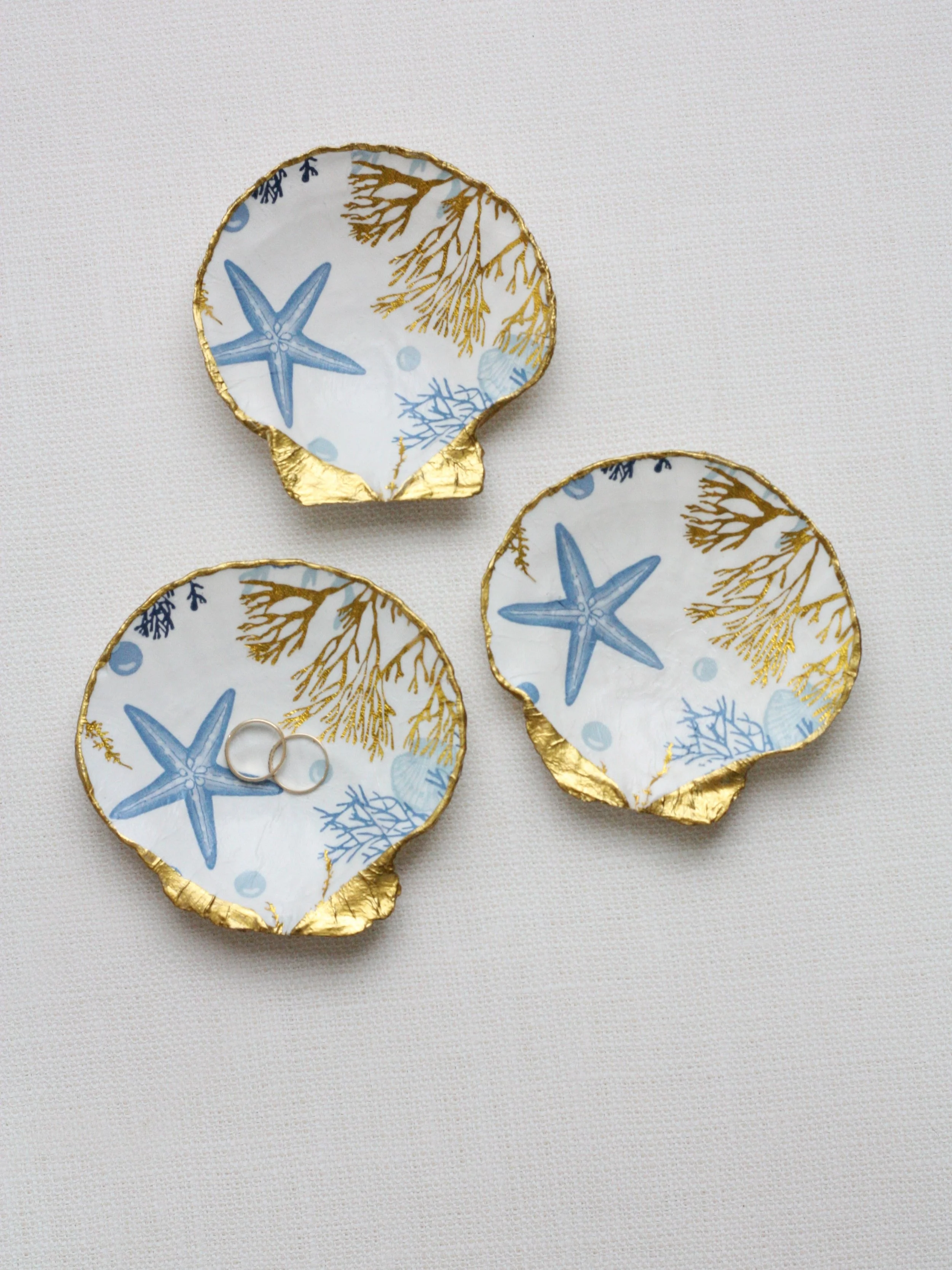 No two shells are ever exactly alike. 🐚✨

Because each Atelier Coquille piece is made from a real shell and handcrafted by hand, every dish varies slightly in shape, texture, size, and character. Those natural differences are what make each one uniq