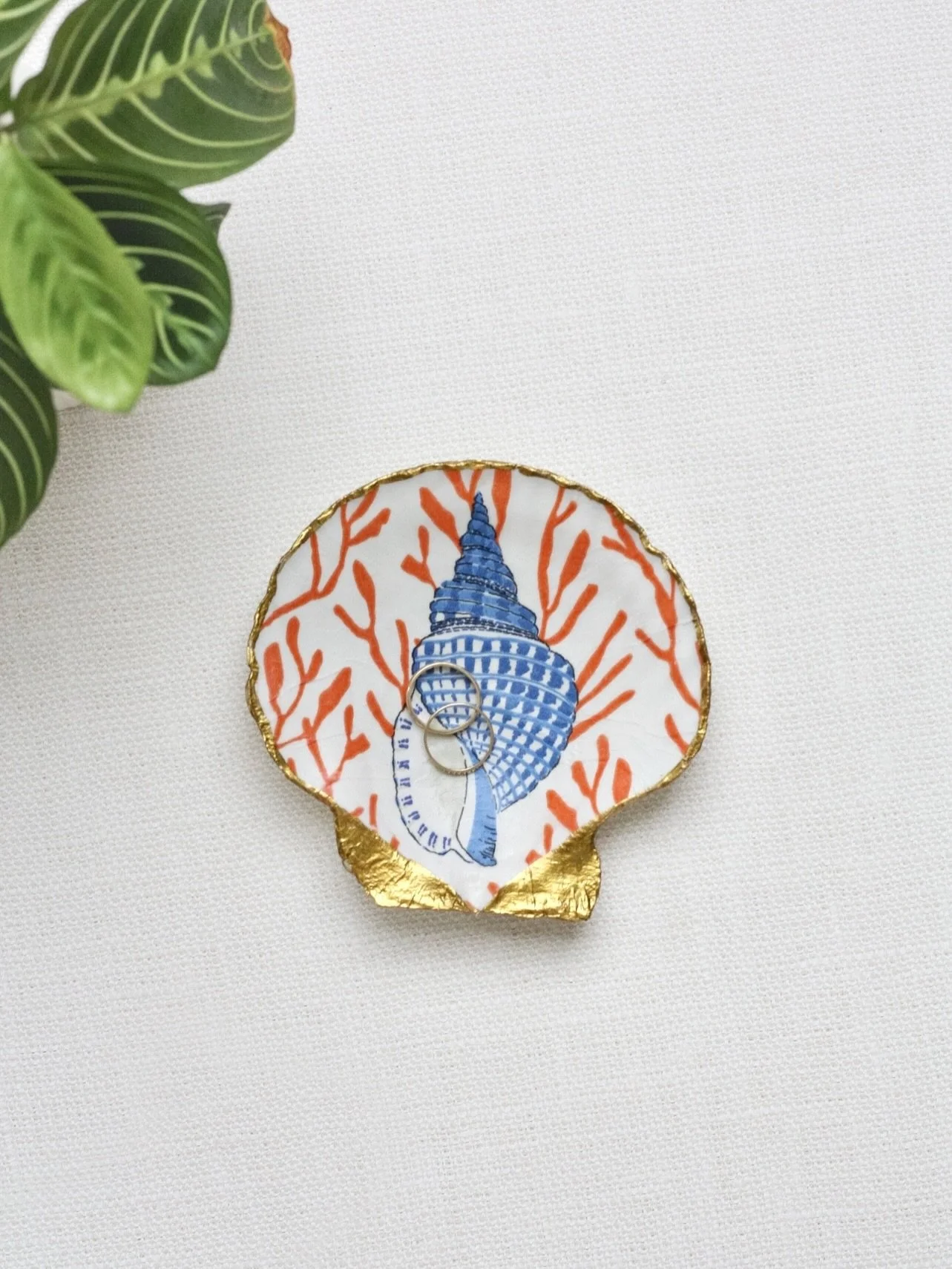 Coastal decor lovers, this one is for you. 🌊🐚

These handcrafted shell ring dishes feature delicate coral patterns, gilded edges, and one-of-a-kind natural shells, making them the perfect addition to a beach house, coastal home, vanity, nightstand,