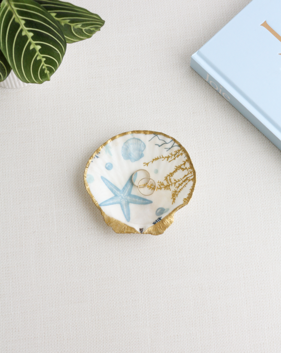 Marée Scallop Ring Dish