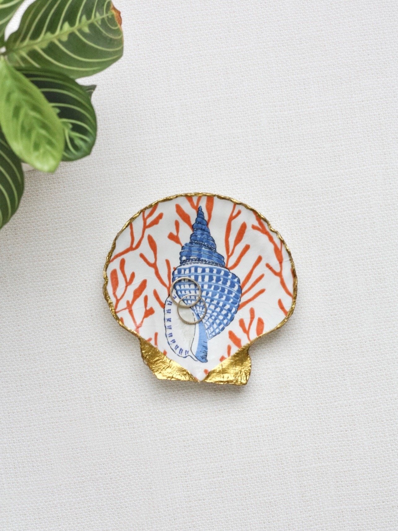 Riviera Scallop Ring Dish