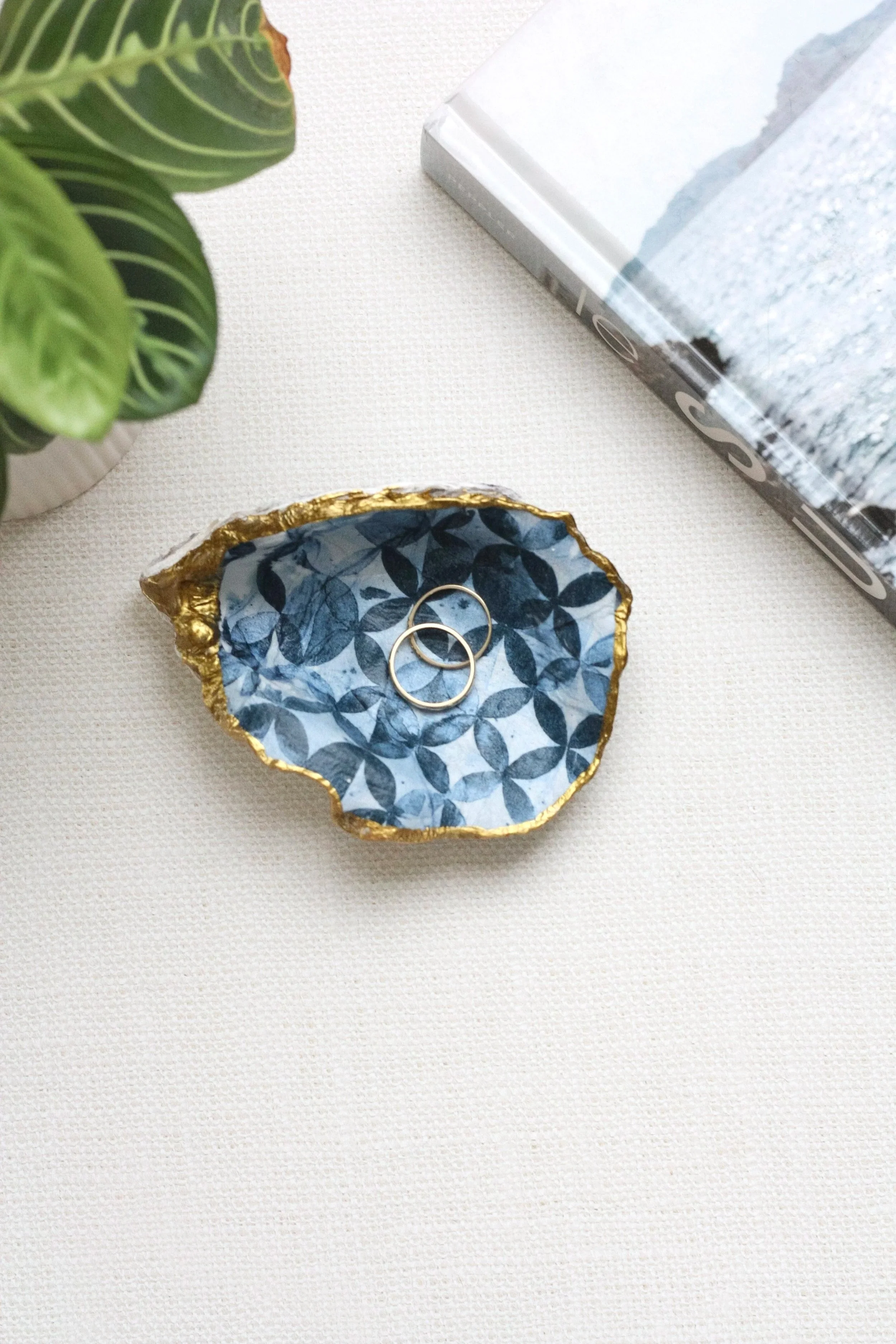 A beige surface with a blue and white decorative dish containing two gold rings, a green potted plant partially visible on the left, and a book with a white cover in the top right corner.