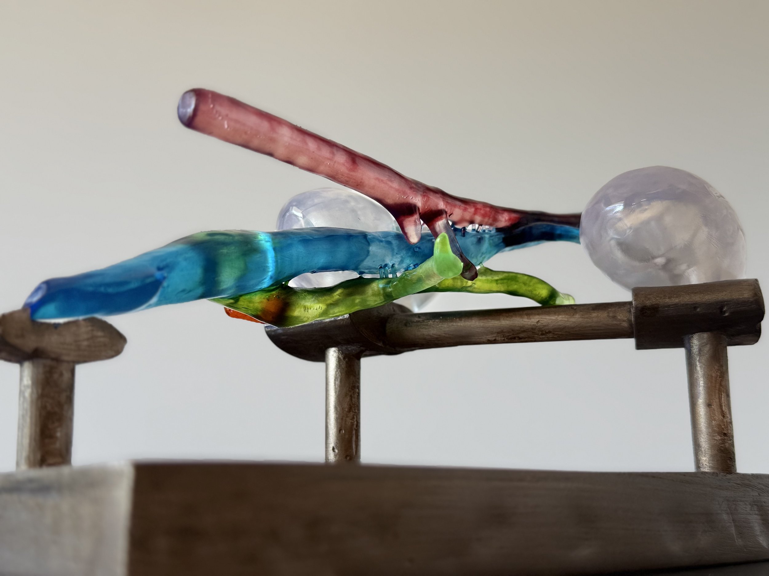 Photo 11-1-2026, 11 43 02 am.jpg