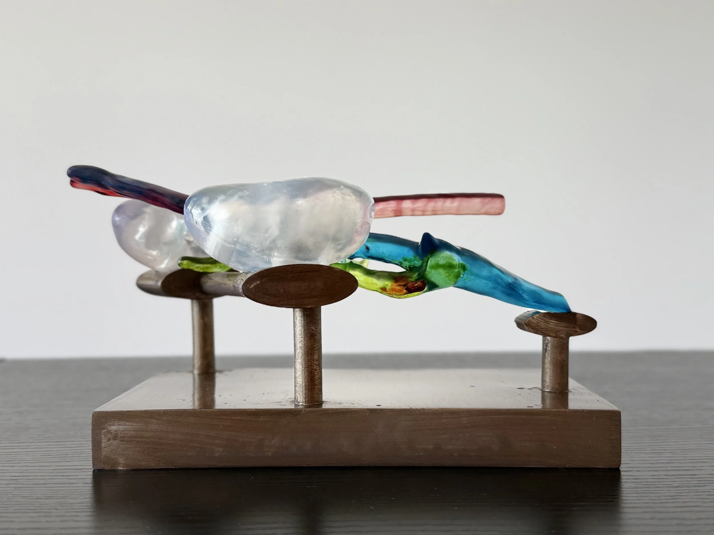 Photo 11-1-2026, 11 40 34 am.jpg