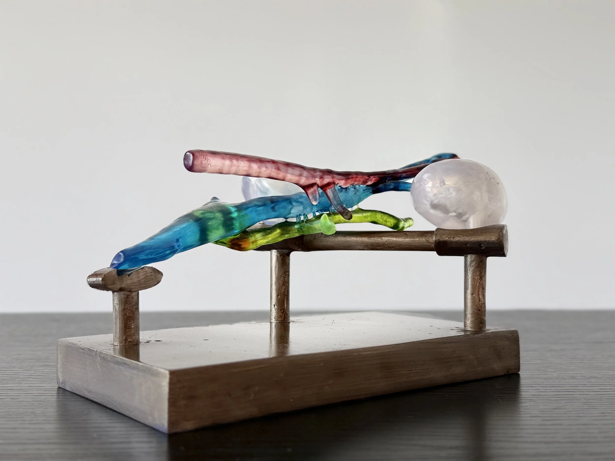 Photo 11-1-2026, 11 40 56 am.jpg