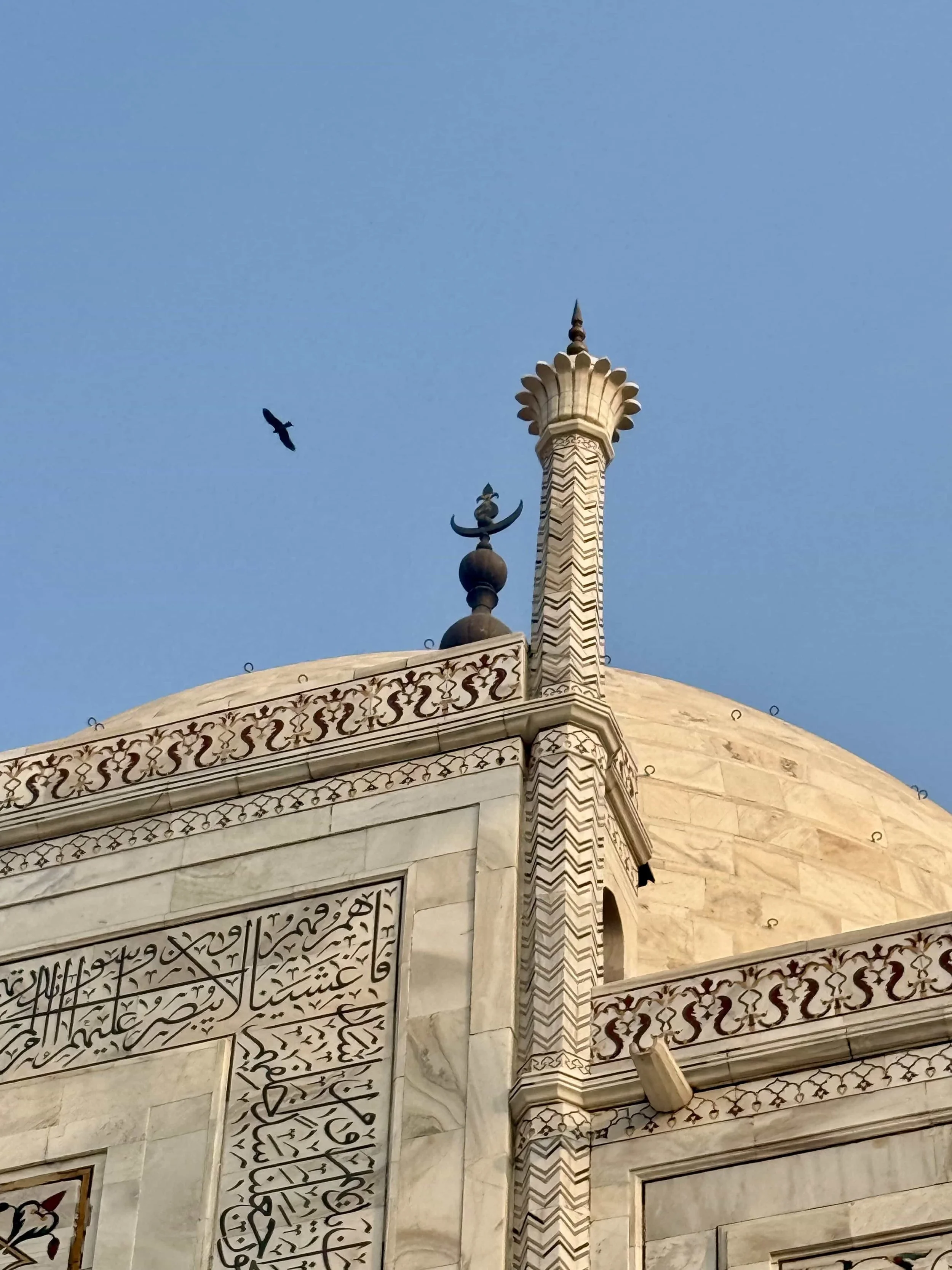 Close-up of the architectural details on the Taj Mahal, including its marble domes, intricate carvings, and minaret with a pointed top against a clear blue sky, with a bird flying nearby.