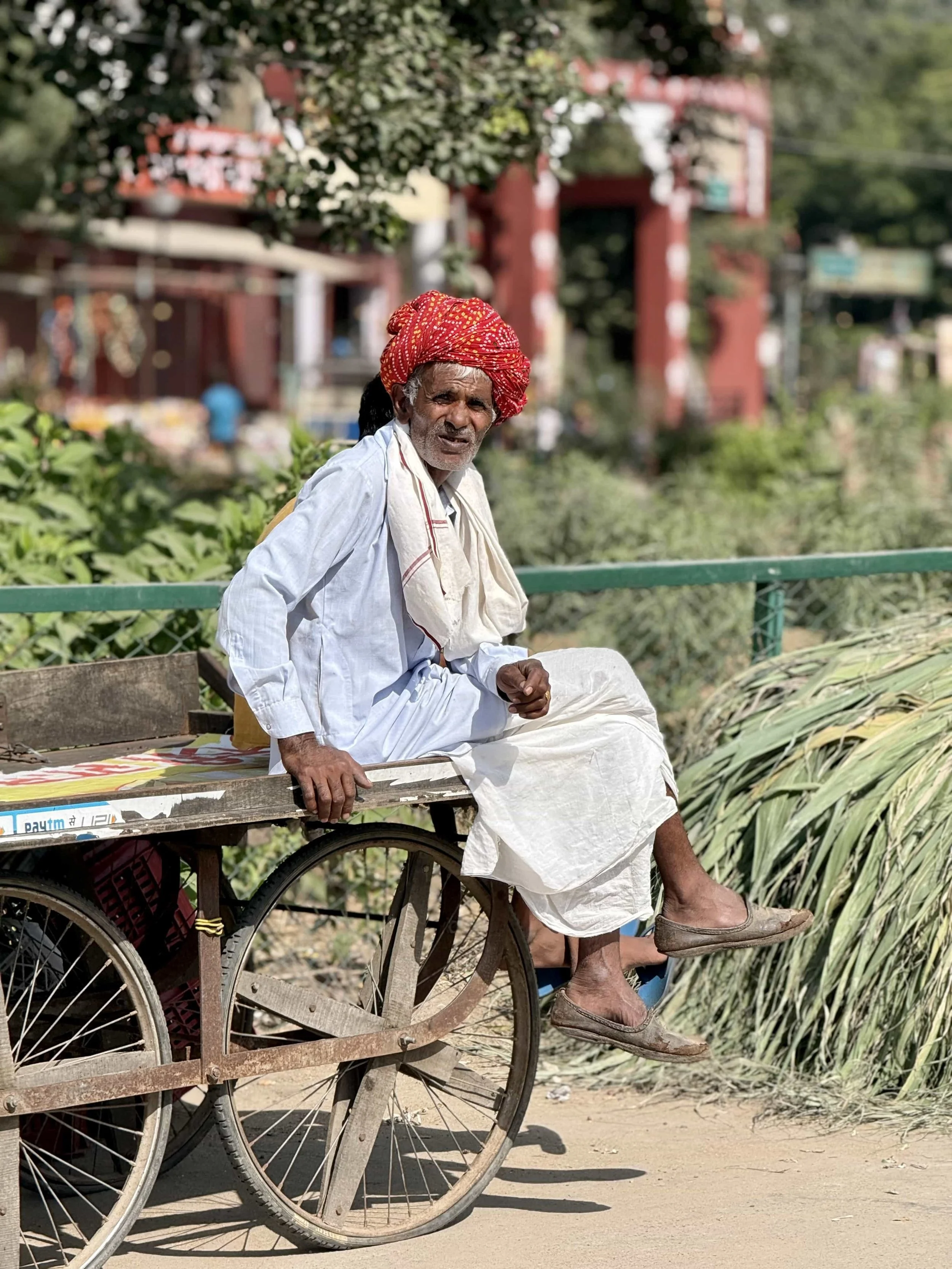 An elderly man wearing a red turban and white traditional clothing sitting on a rickshaw, with a background of trees and a building in an Indian street.
