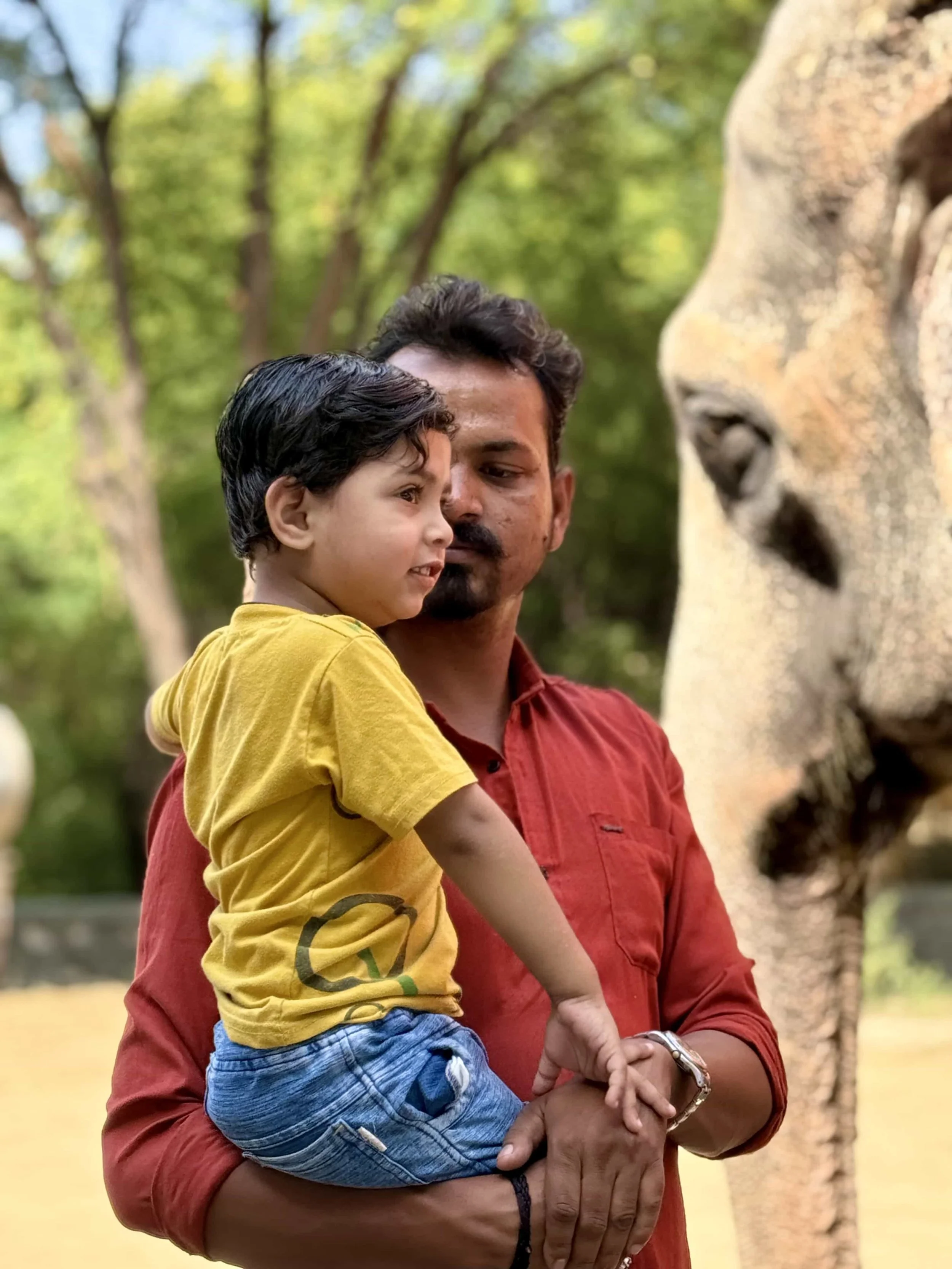 A man holding a young boy outdoors near a tree, both looking at a stone lion sculpture with greenery in the background.