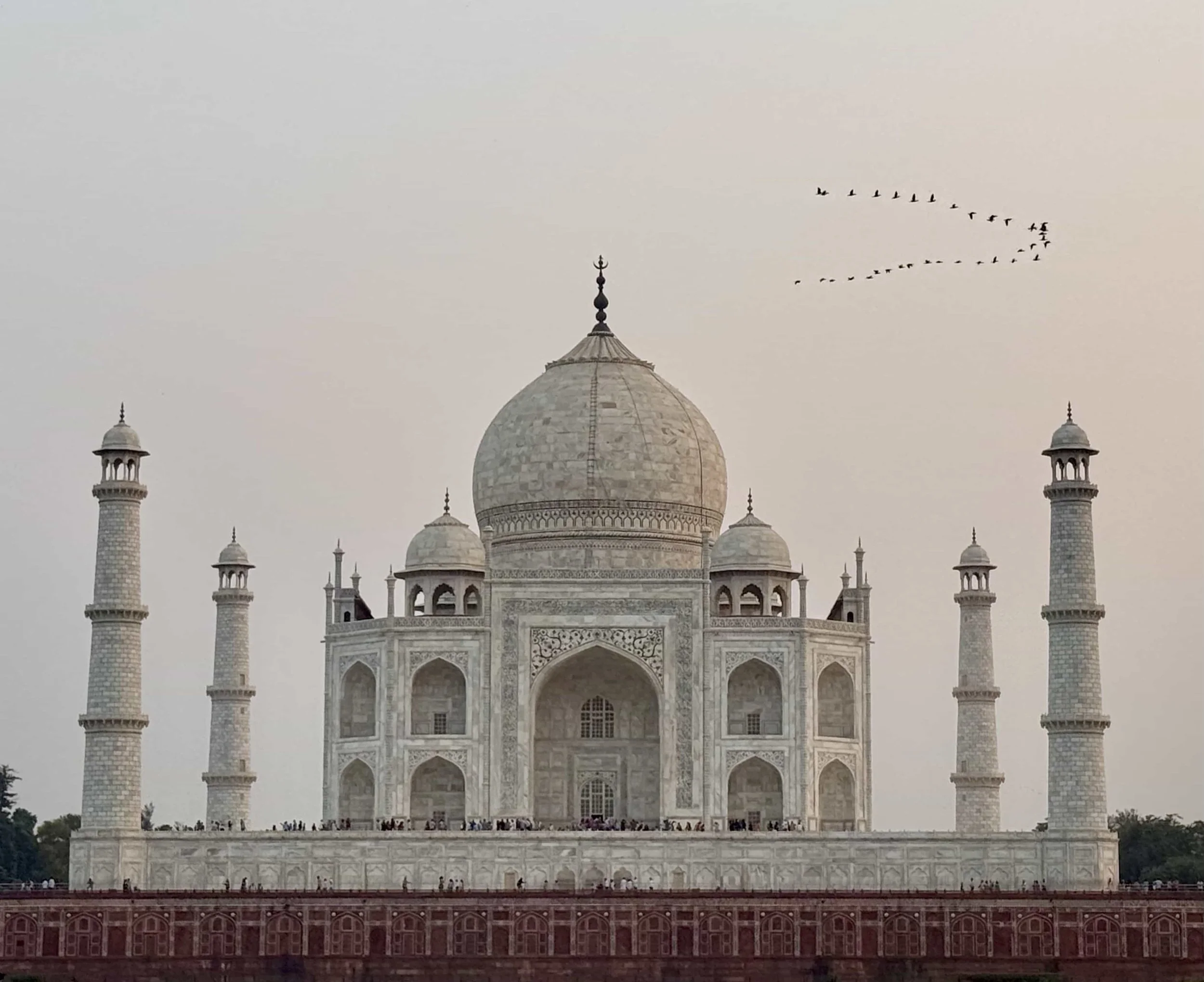 View of the Taj Mahal featuring its white marble domes and minarets, with a formation of flying birds in the sky above.