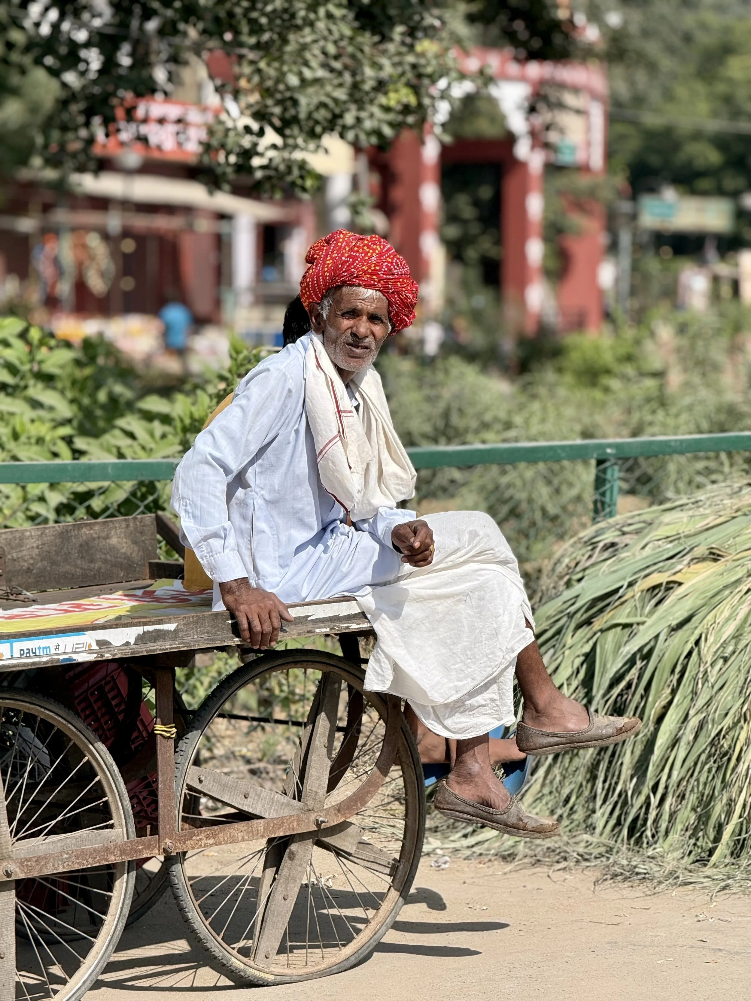 An elderly man sitting on a wooden cart with large bicycle wheels, wearing traditional white Indian clothing and a red turban, with greenery and buildings in the background.