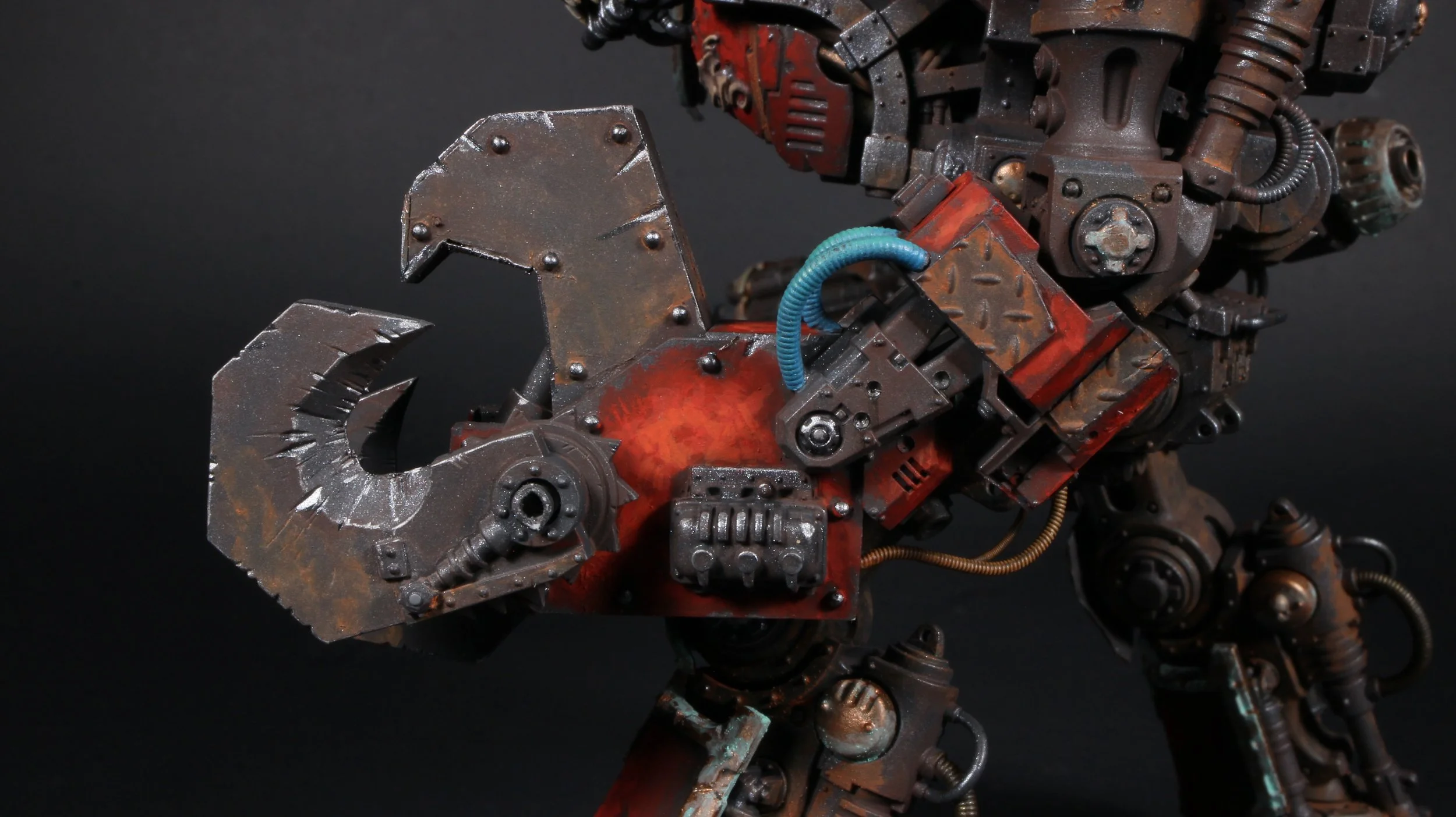 claw focus 1.JPG