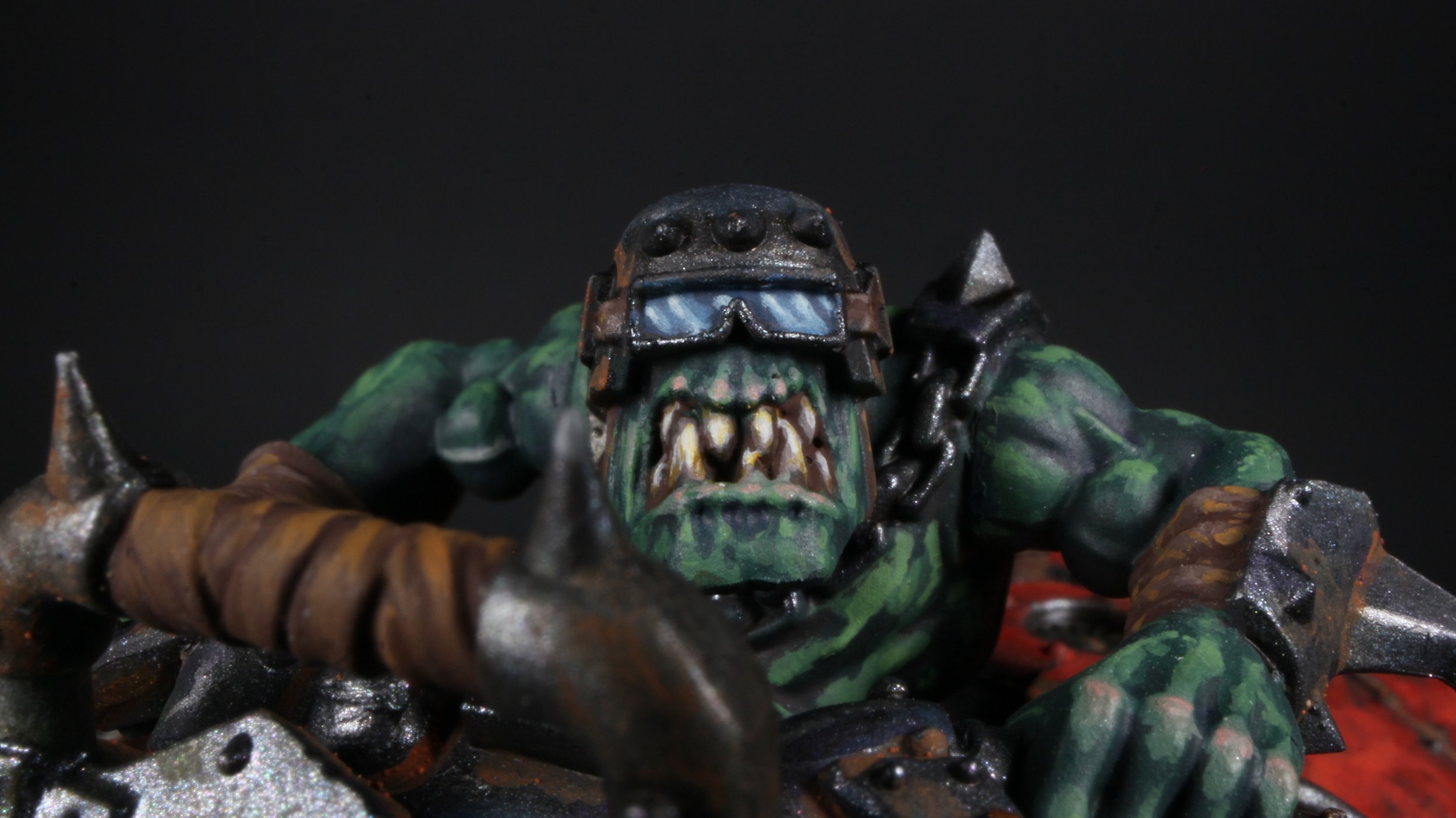 knight jocky closeup.JPG
