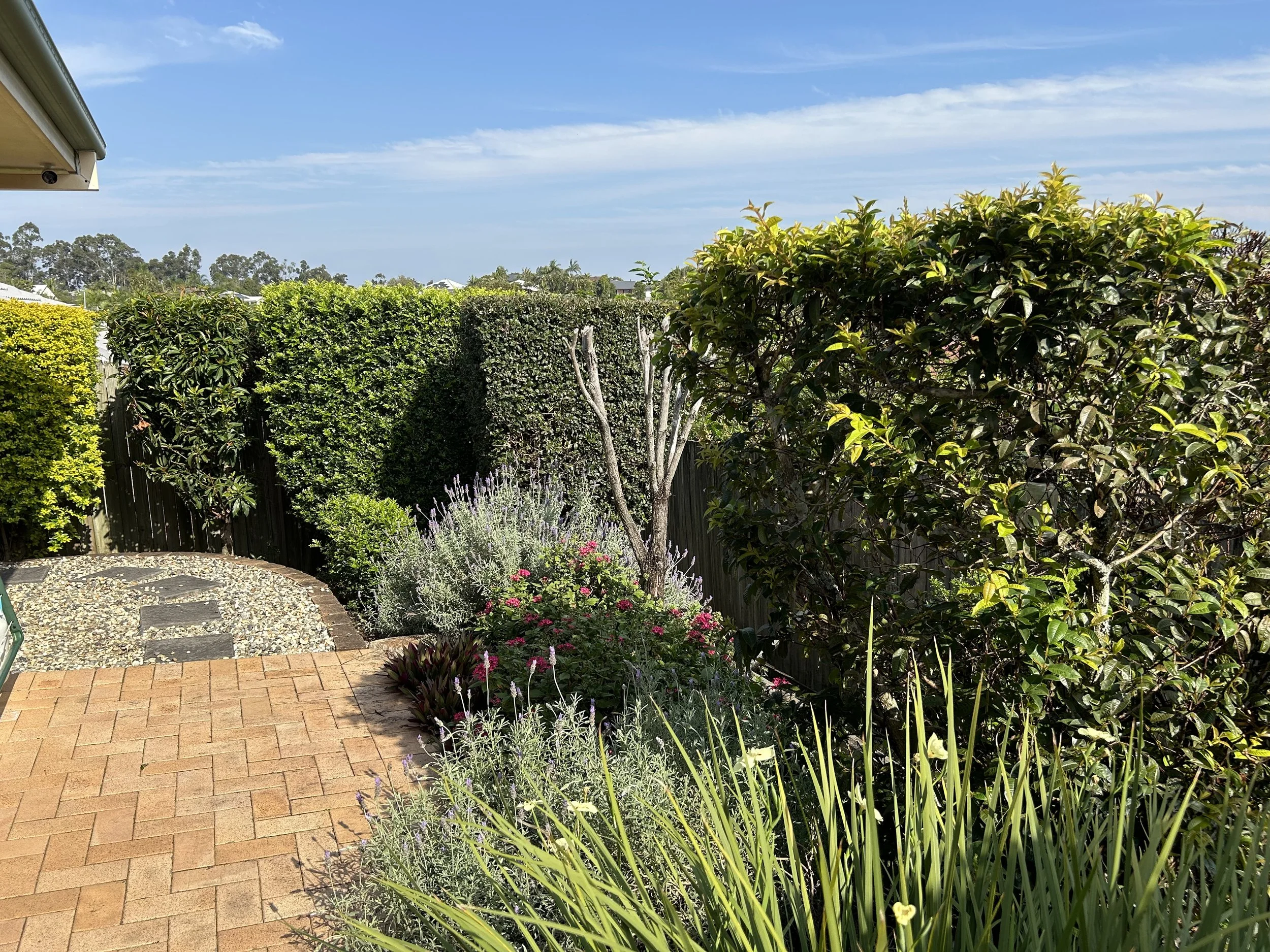 A backyard garden with various green shrubs and flowering plants, a brick patio, a black wooden fence, and a blue sky with some clouds.