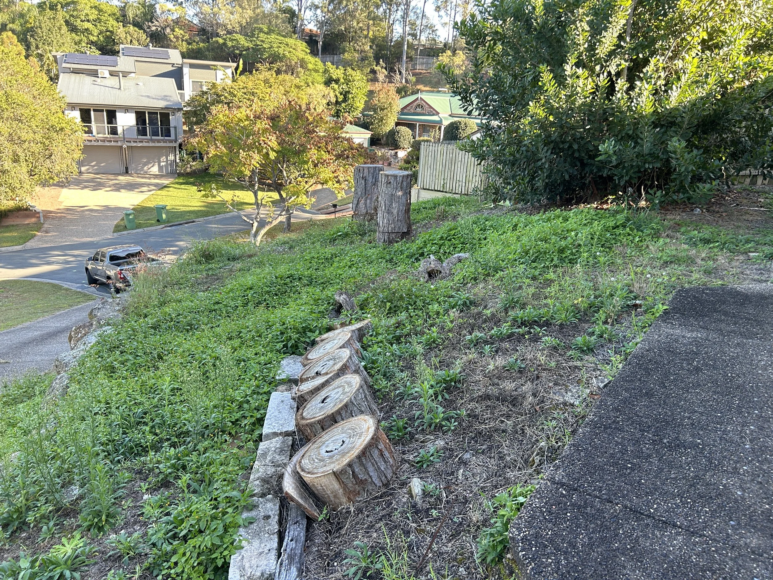Residential neighborhood with houses, green grass, trees, and a sloped yard with tree stumps and plants.