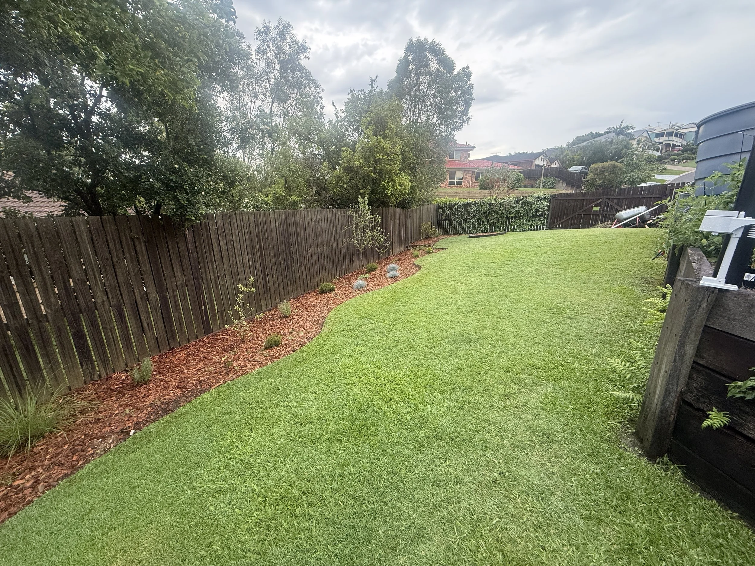 A backyard with green grass, a brown wooden fence, and a garden bed with small plants and mulch, some trees in the background, and houses on a hill beyond the fence.