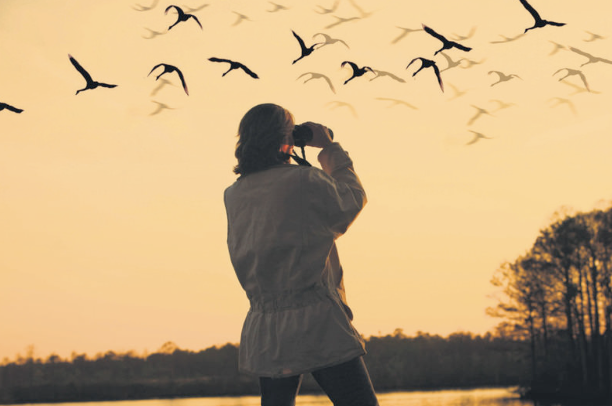 6 April 2026 Events in the Tri-Cities You Don’t Want to Miss