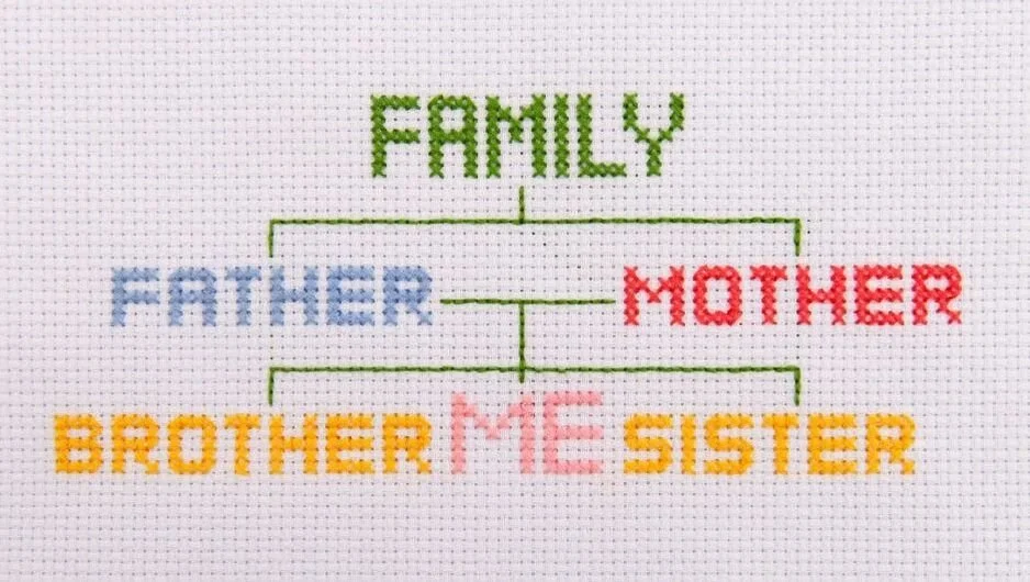 Cross-stitch embroidery of family members' labels with the word 'FAMILY' in green at the top, connected by lines to labels for 'FATHER' in blue, 'MOTHER' in red, 'BROTHER' in yellow, 'SISTER' in yellow, and 'ME' in pink in the center. Ancestrees. 