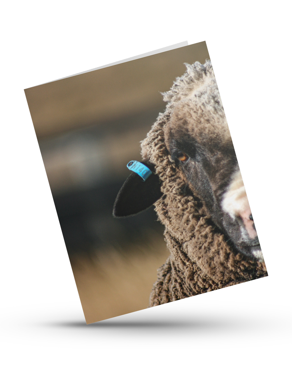 William+Card.png
