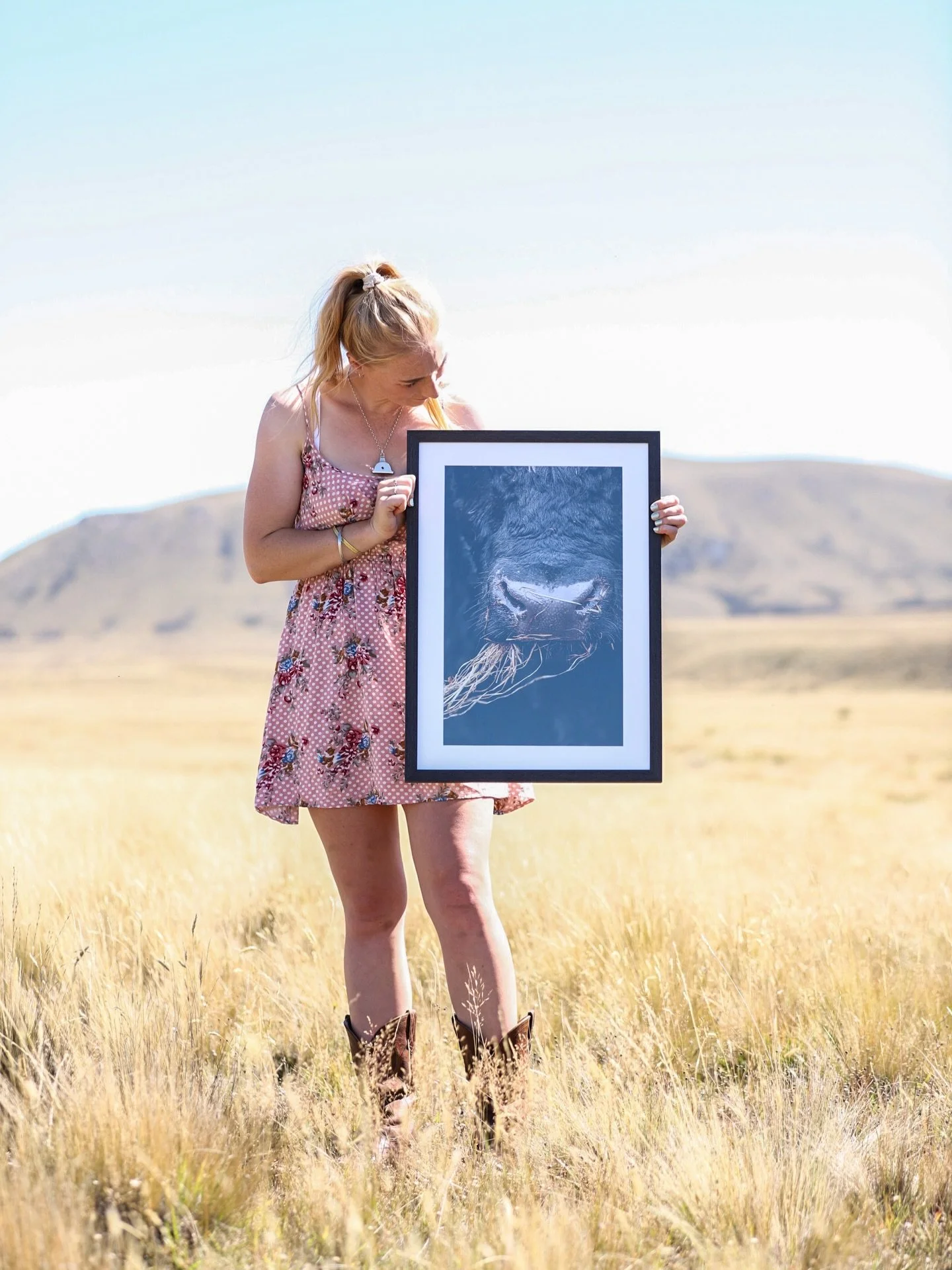 Out here in the high country, this is where pieces like this begin 🤎

This is my &ldquo;Munching on Hay&rdquo; Angus bull fine art print &mdash; captured during a quiet moment on the land, when the only sound was the rustle of hay and the wind movin