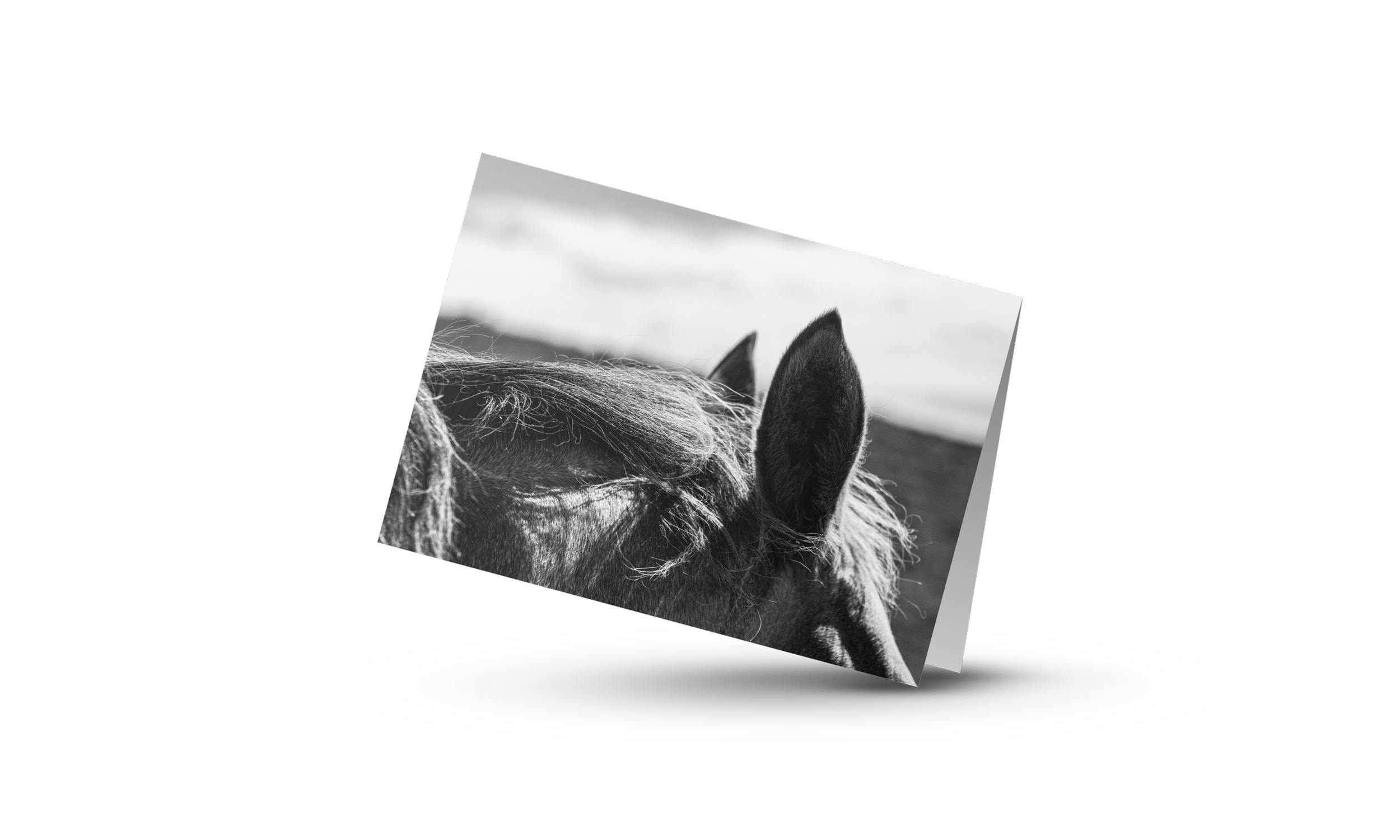Equine Ears - Card
