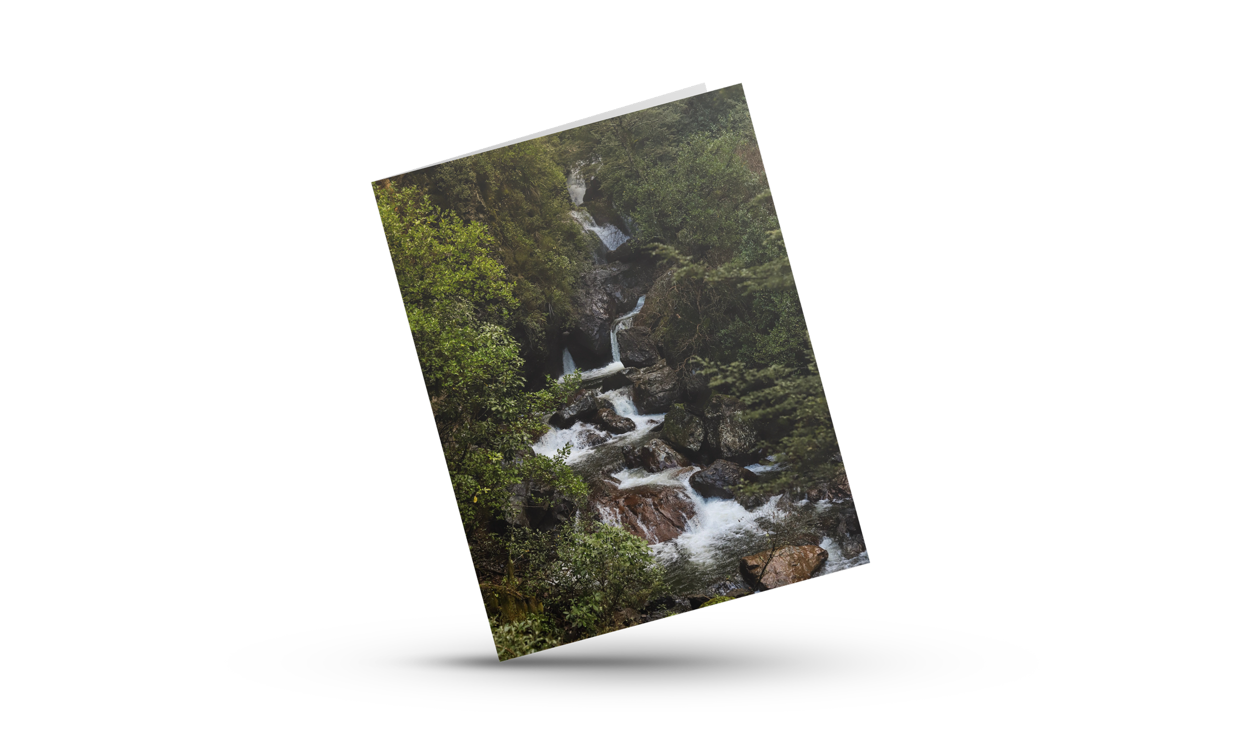 Out In Nature Card.png