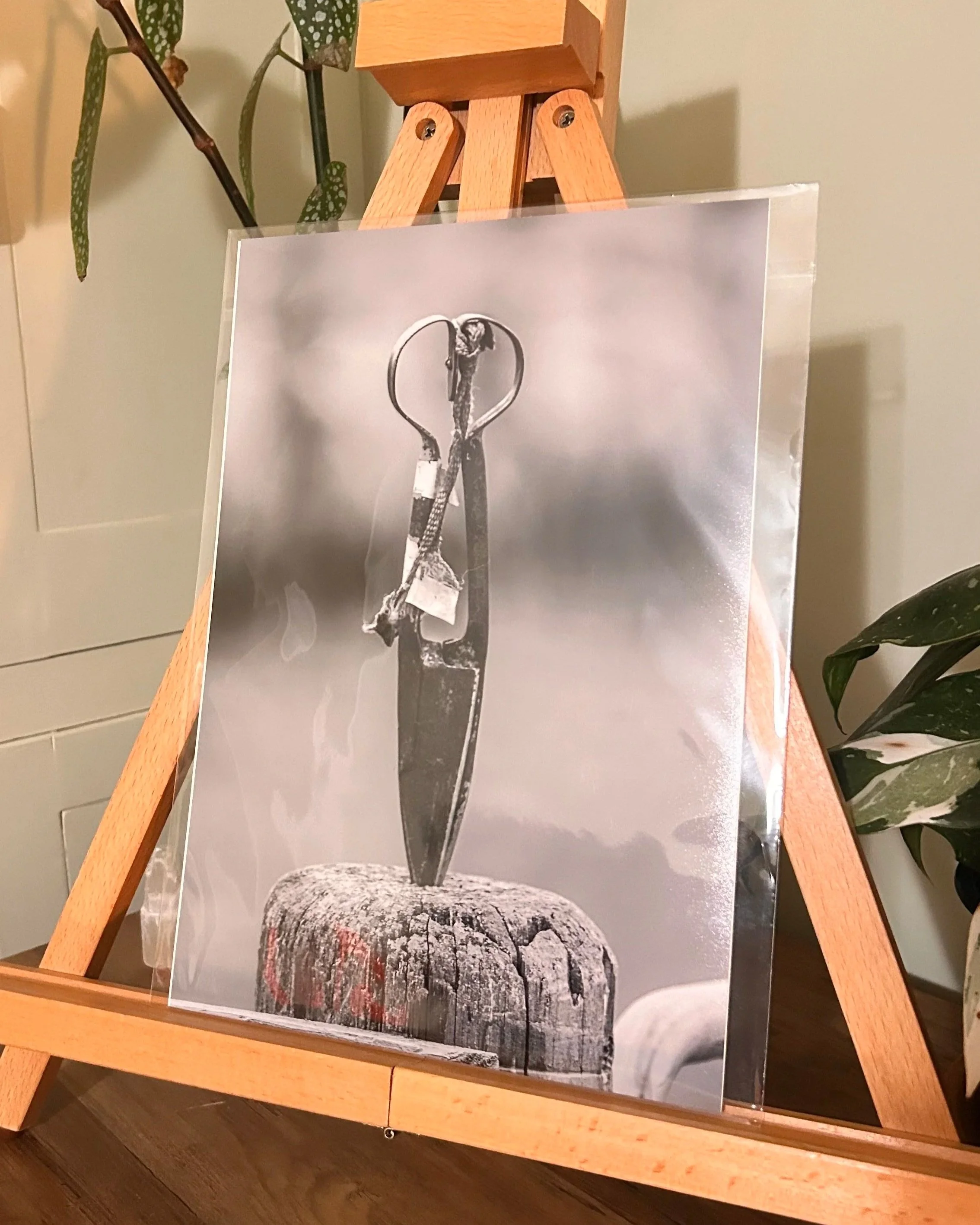 The Shearers Blades - A4 Print