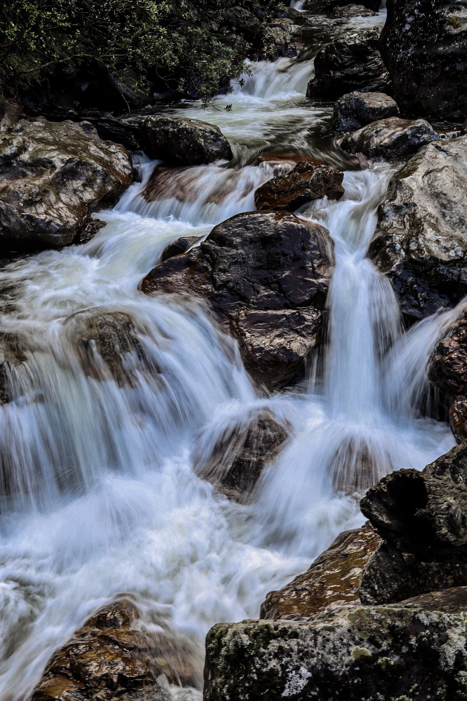 Misty Waters of Sharplin Falls.jpg